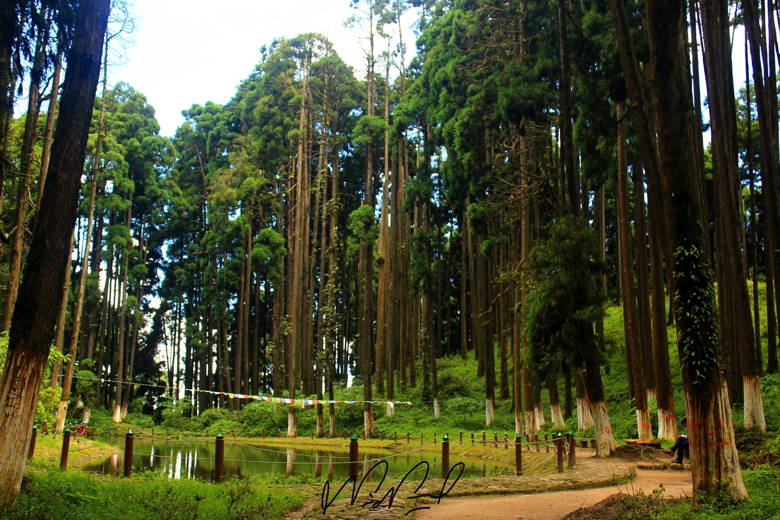 Lamahatta Eco Park