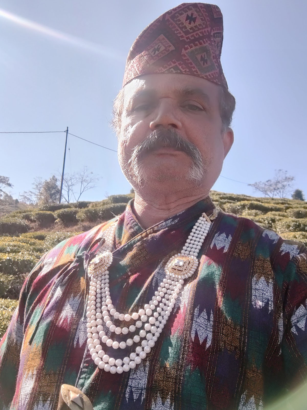 Tea Gardens of Tinchuley