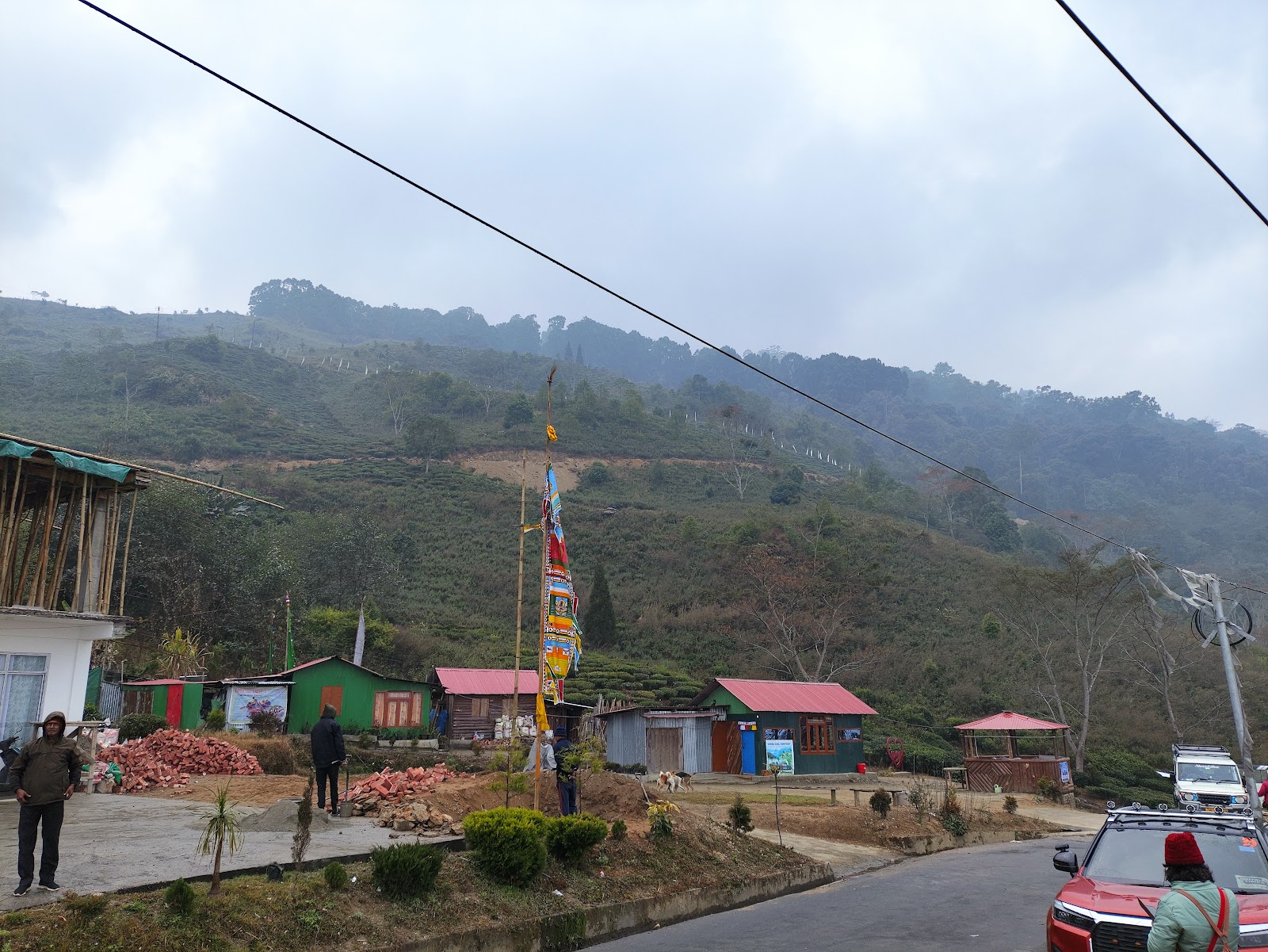 Tea Gardens of Tinchuley