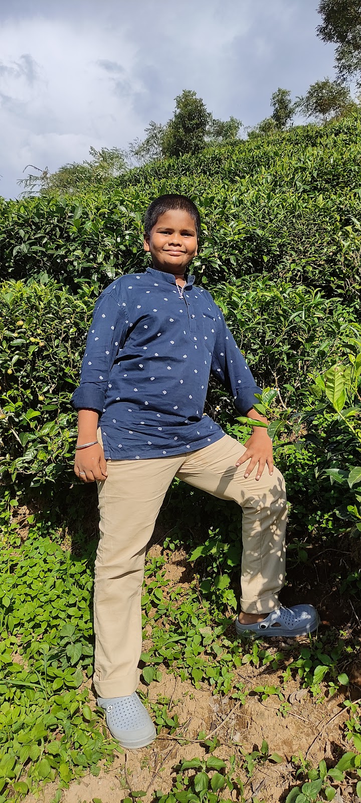 Tea Gardens of Tinchuley