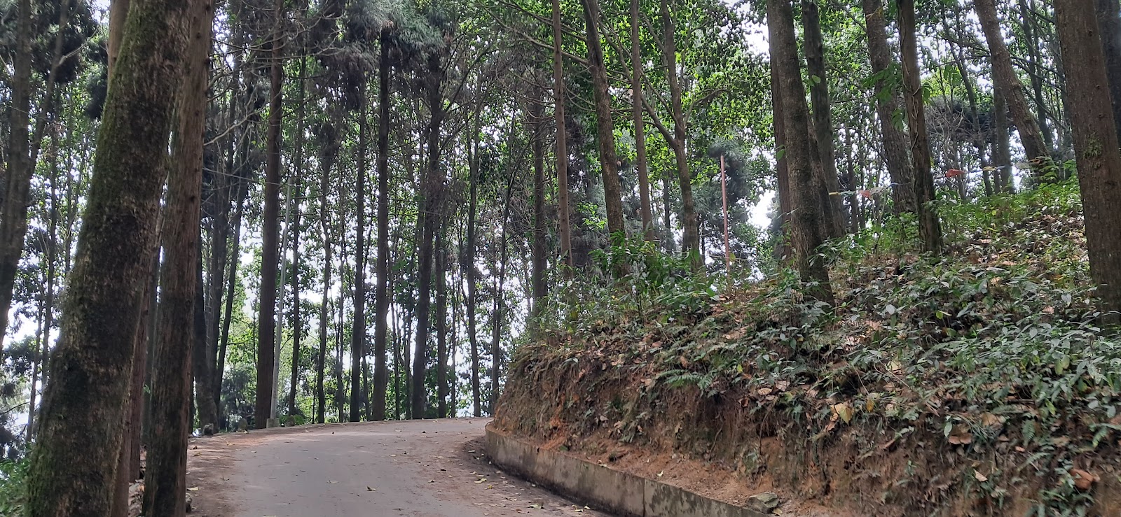 Tinchuley View Point