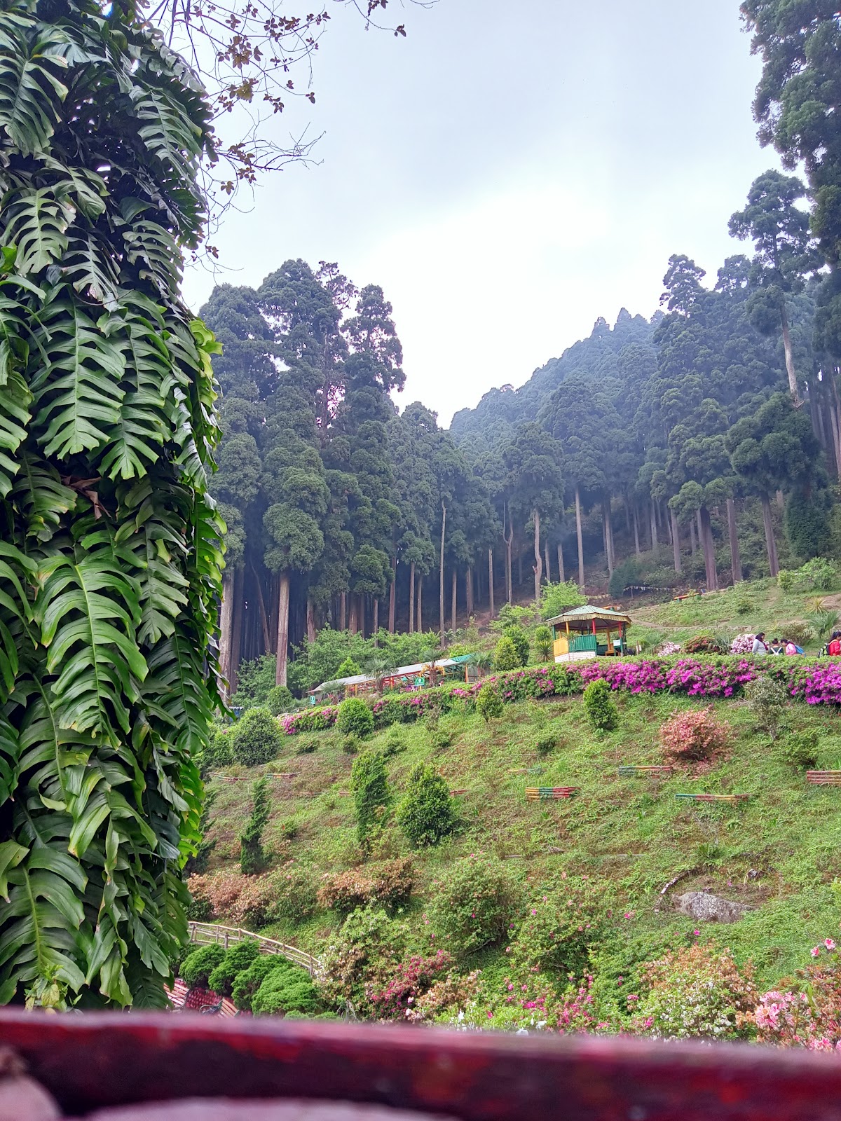 Tinchuley View Point