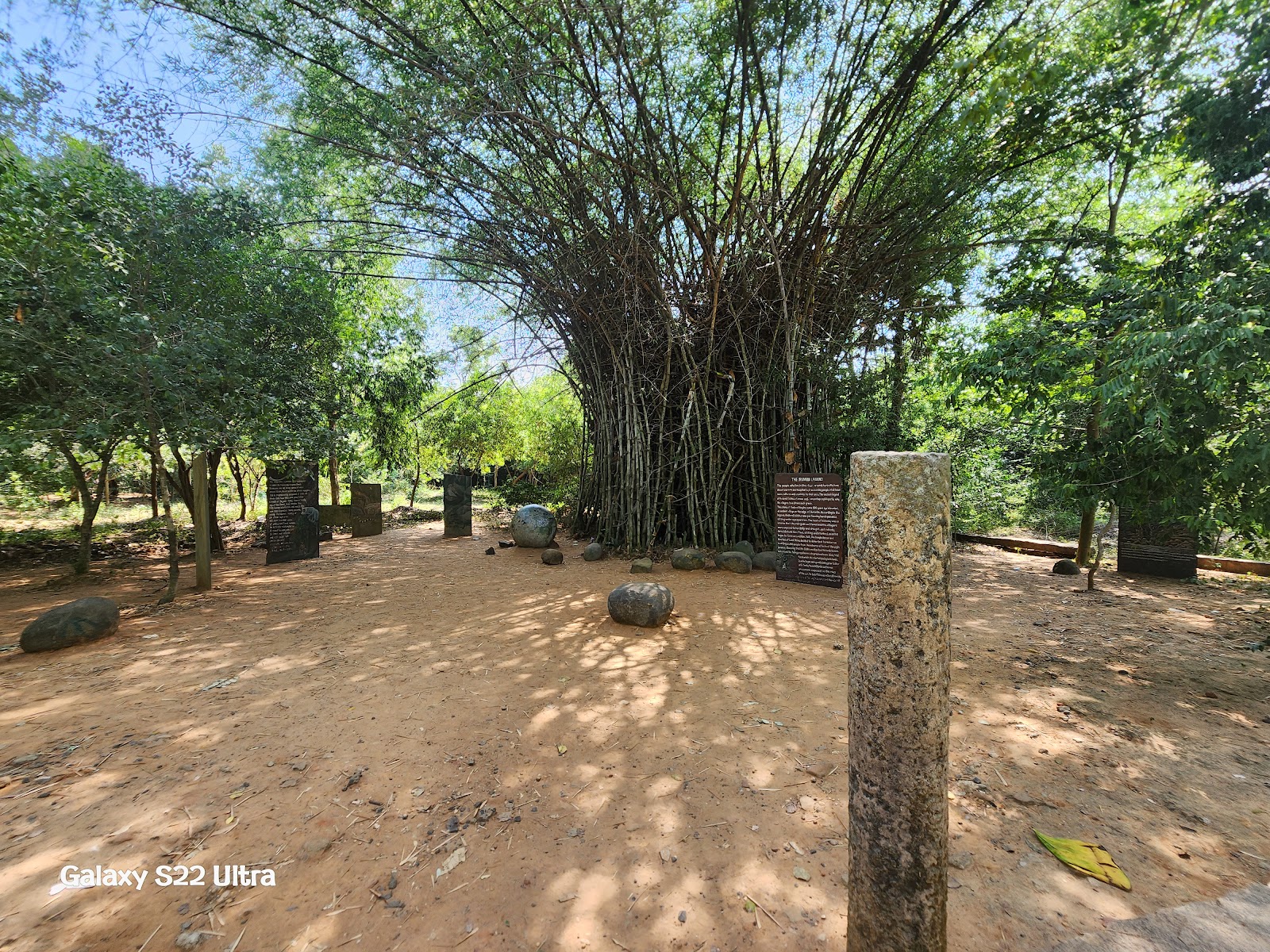 Auroville and Matrimandir