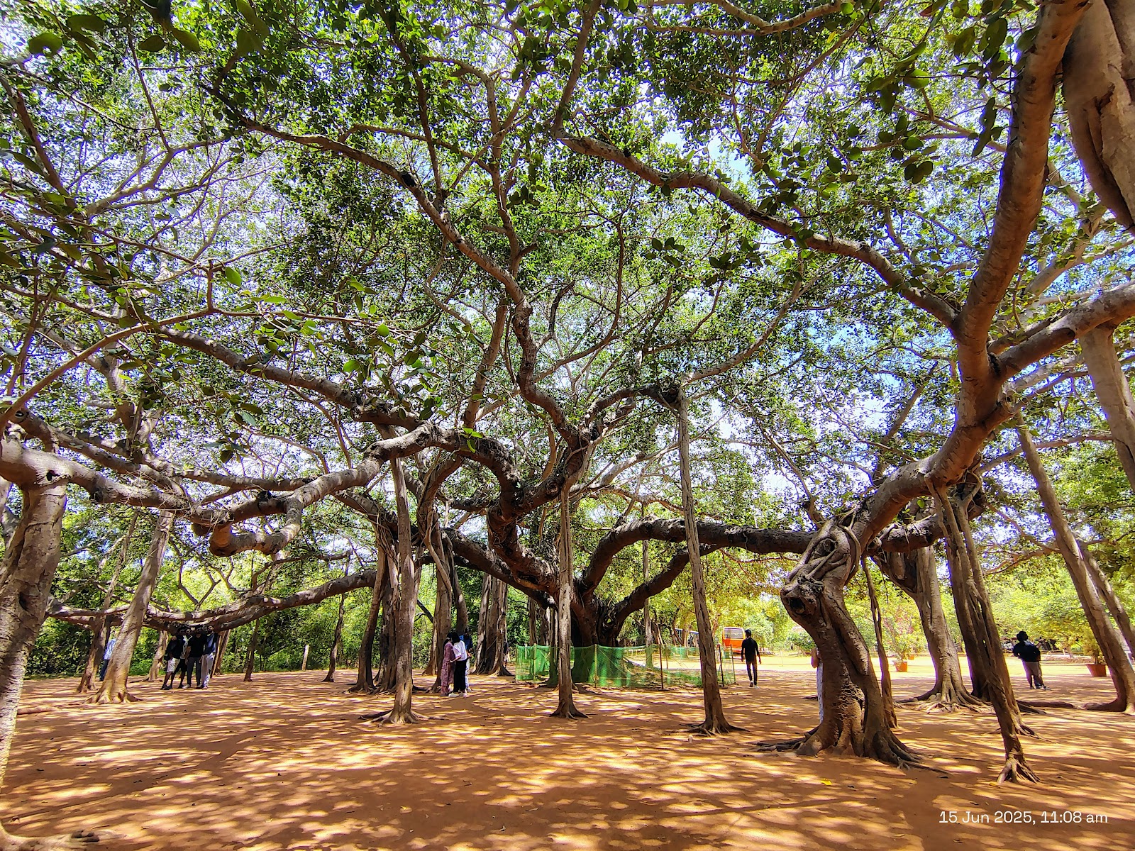 Auroville and Matrimandir