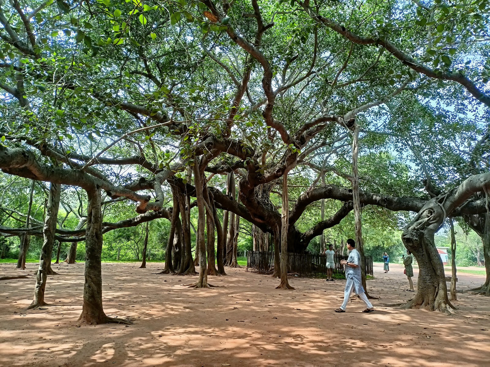 Auroville and Matrimandir