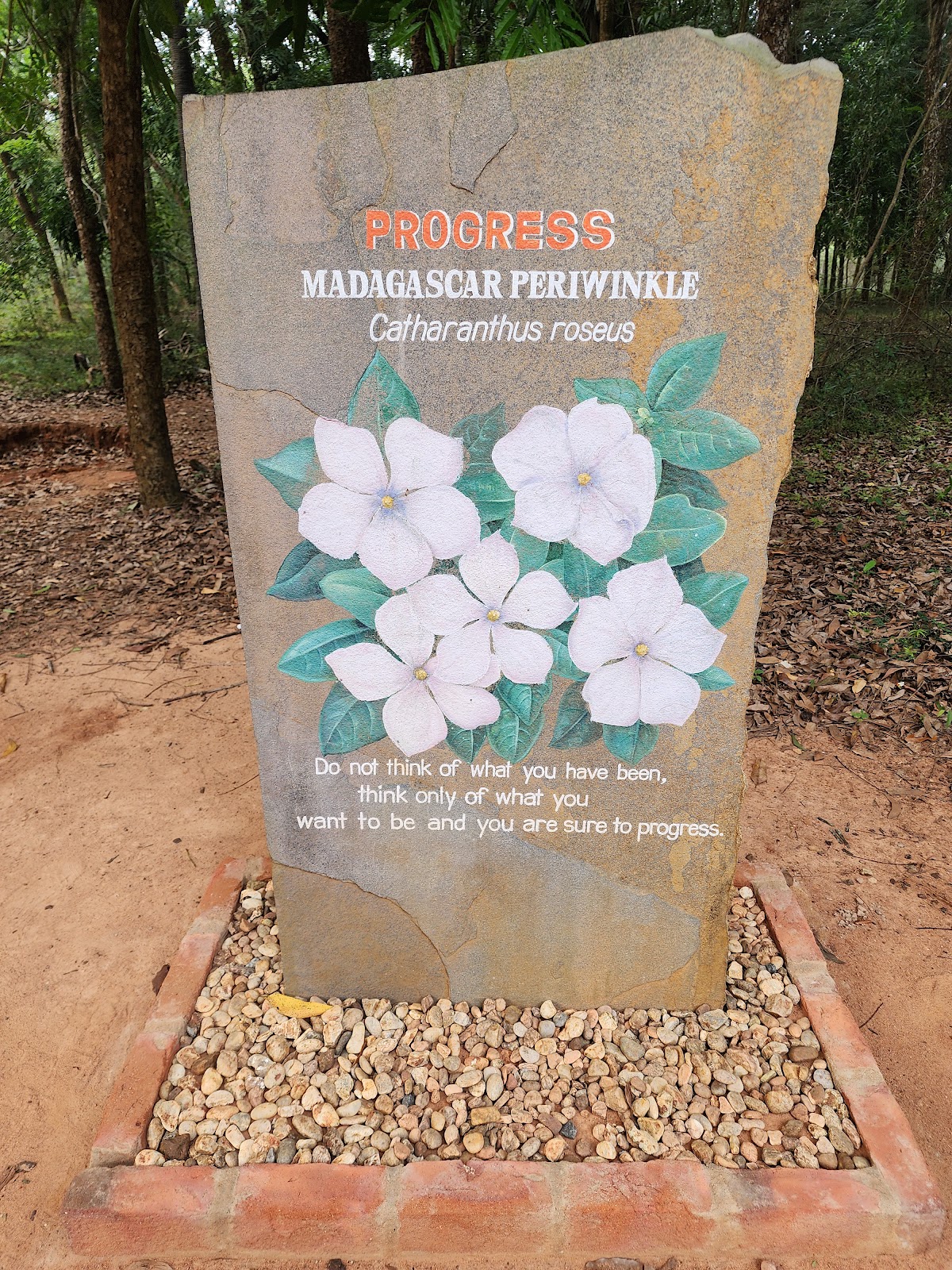 Auroville and Matrimandir