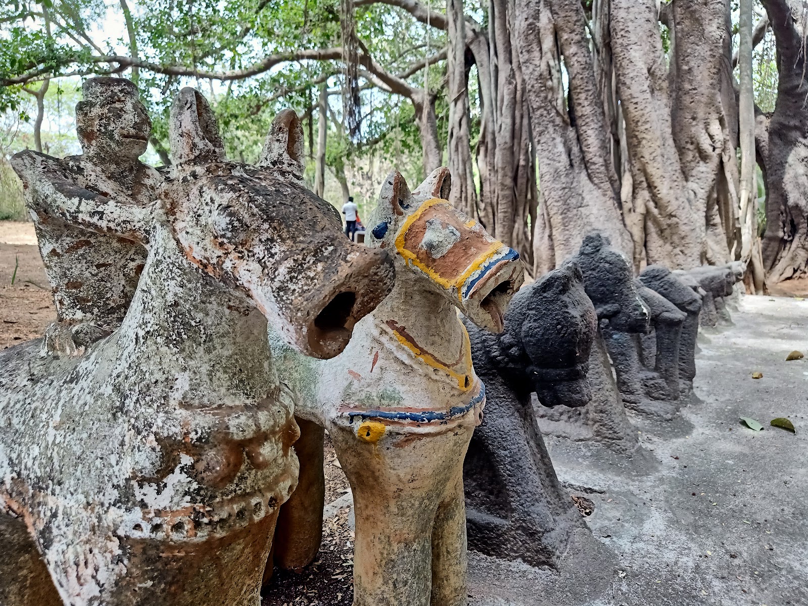 Thiruvakkarai Fossil Wood Park