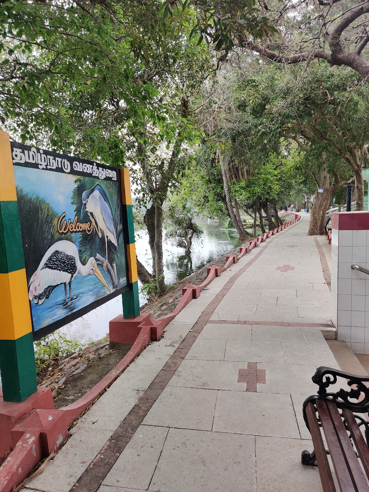 Vedanthangal Bird Sanctuary