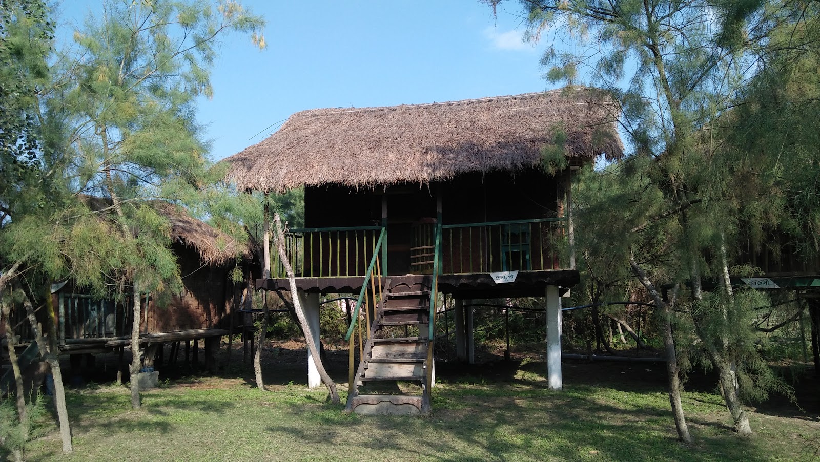 Dibru Saikhowa National Park