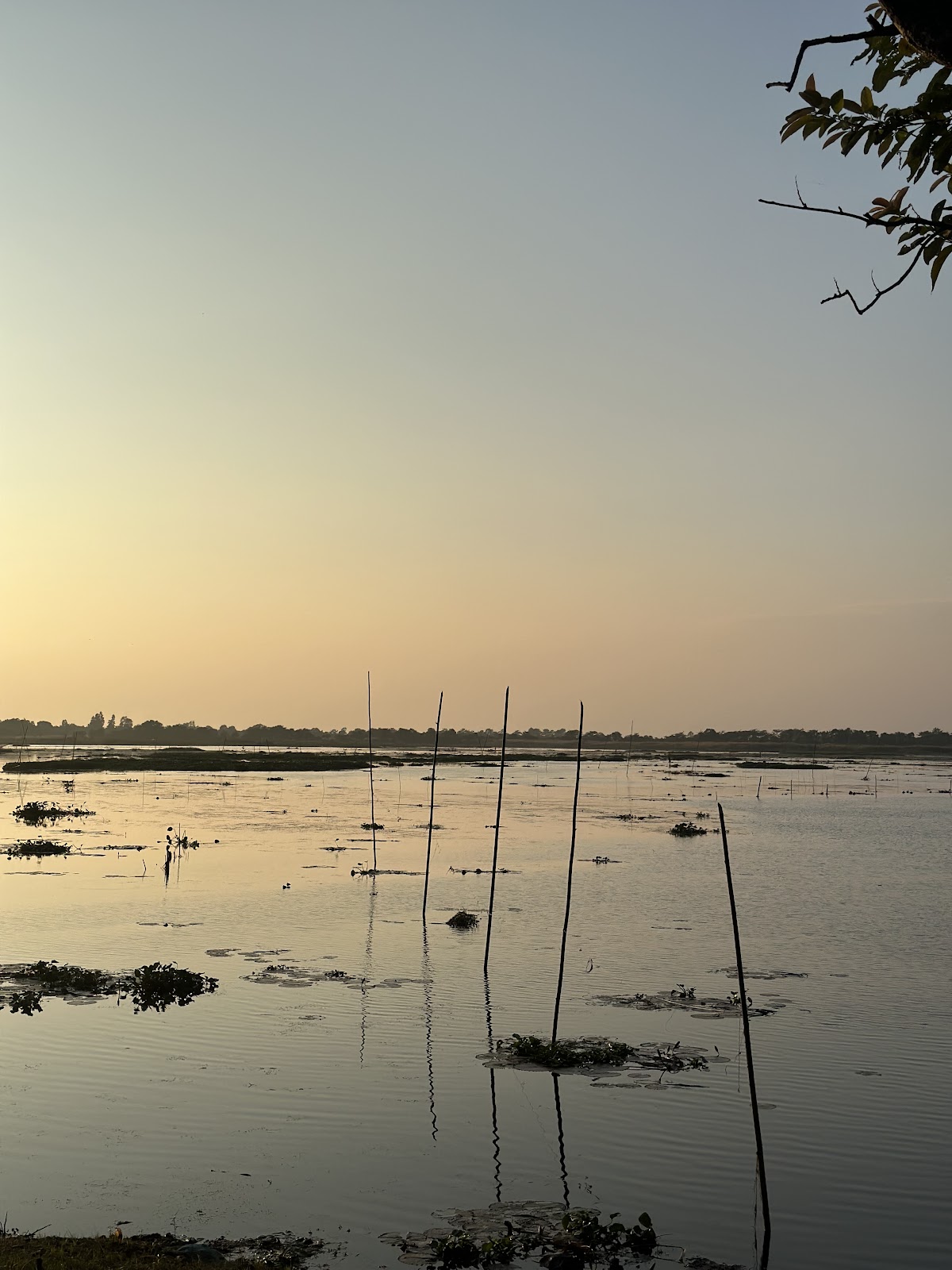 Dibru Saikhowa National Park