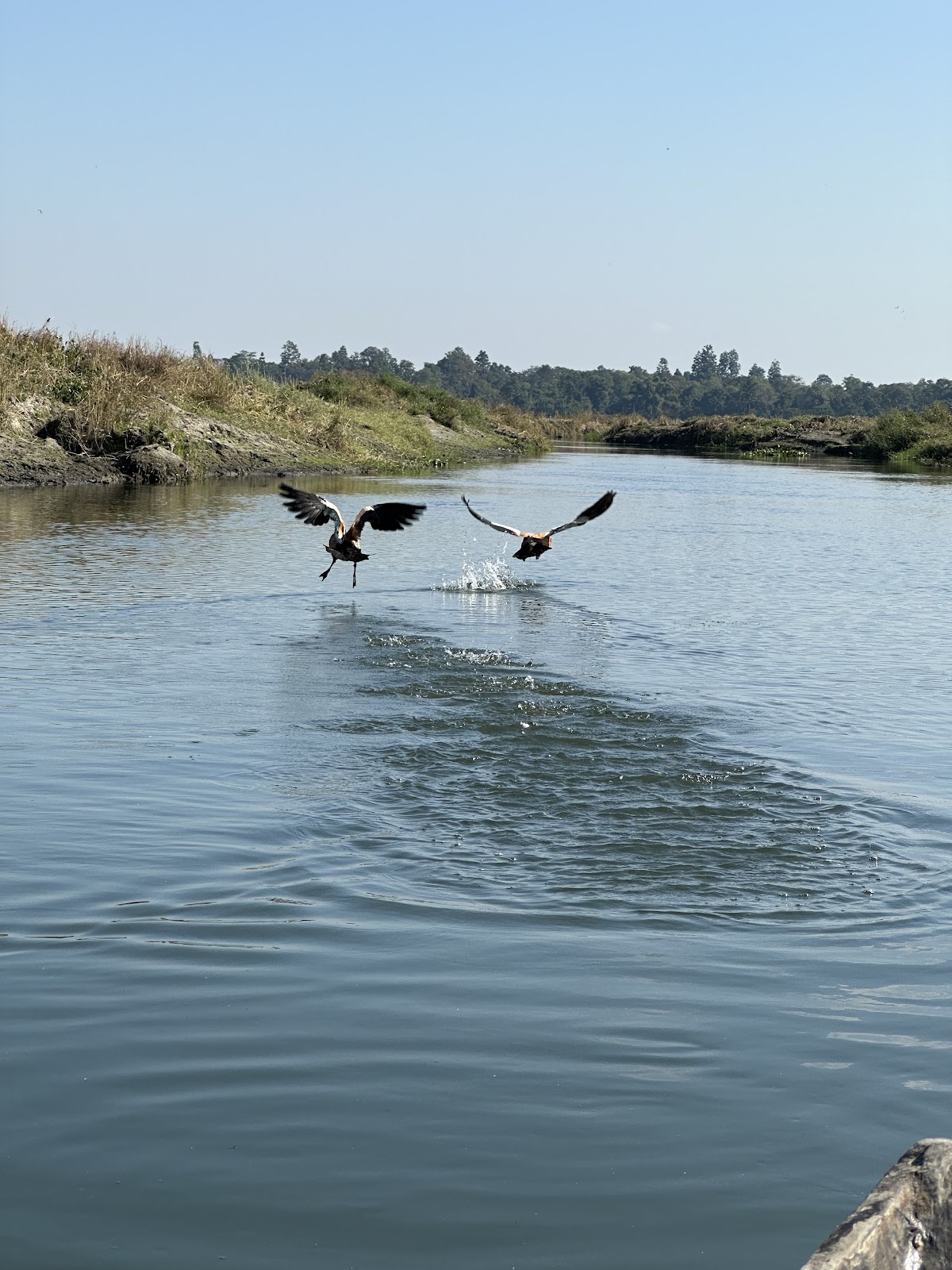 Dibru Saikhowa National Park