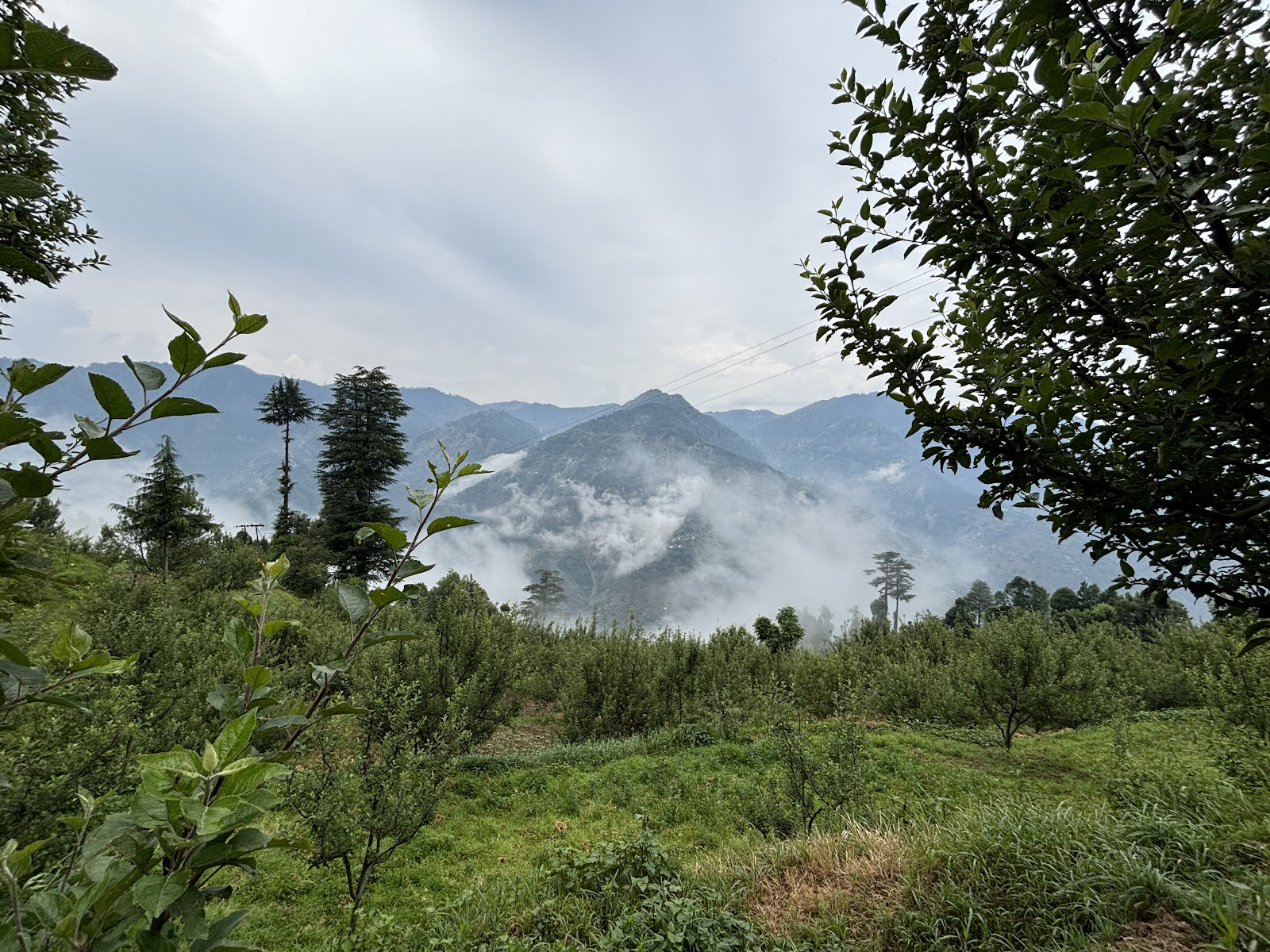 Manali