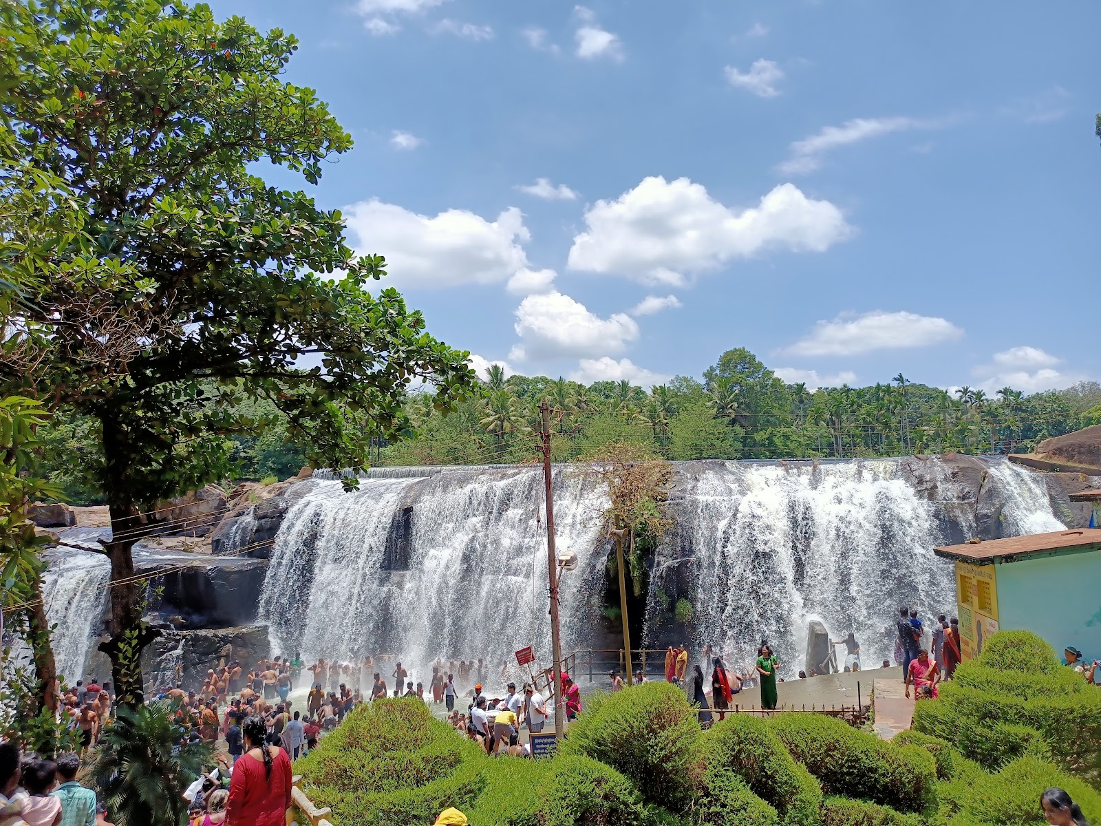 Thiruparappu Falls