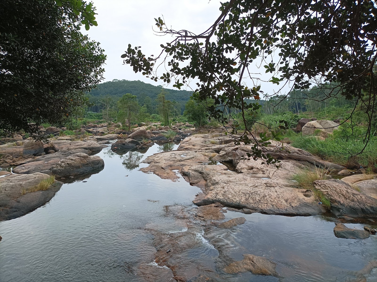 Thiruparappu Falls