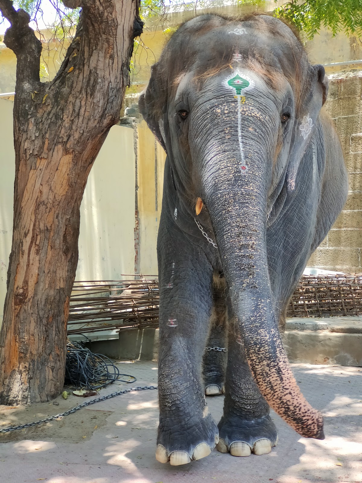 Tiruchendur Murugan Temple