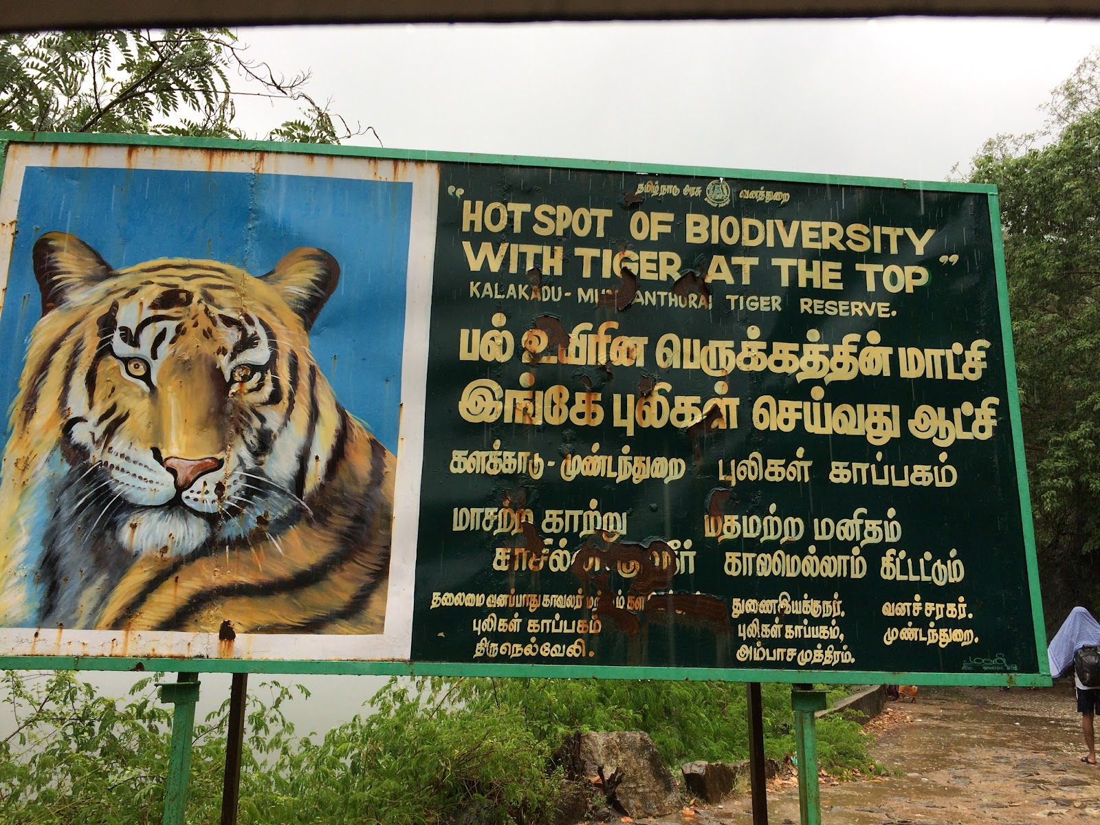 Kalakkad Mundanthurai Tiger Reserve