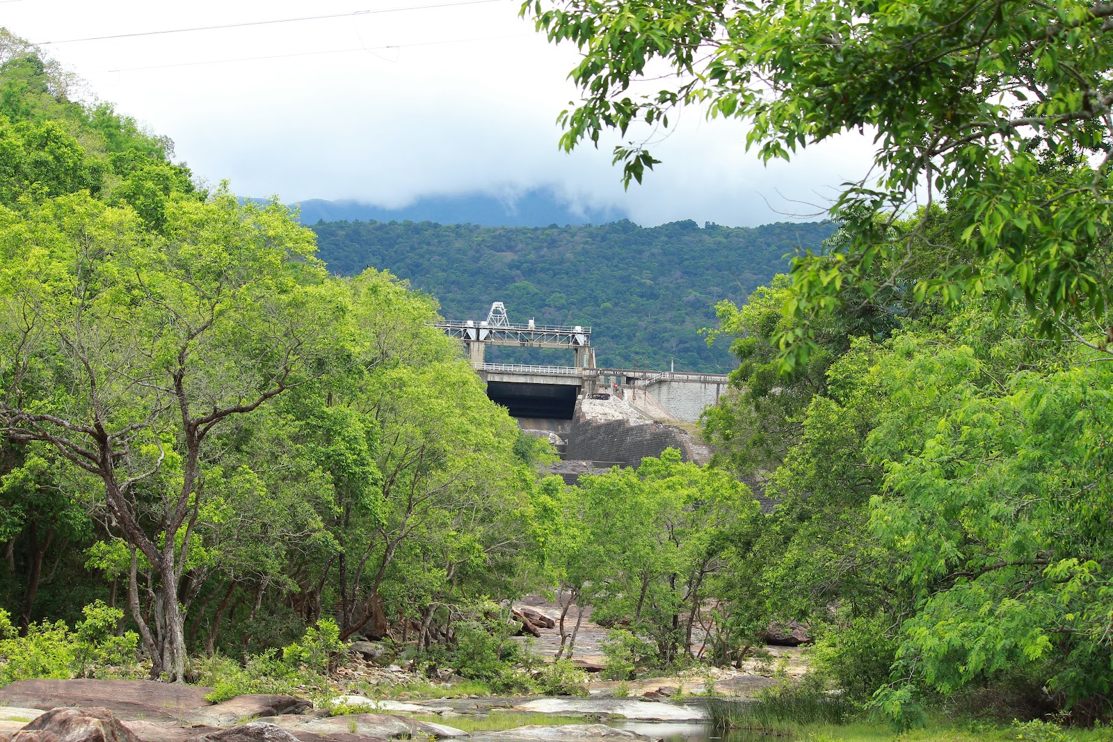 Kalakkad Mundanthurai Tiger Reserve