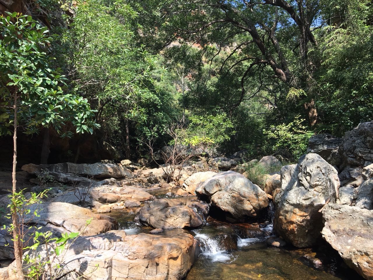 Nagalapuram Waterfalls