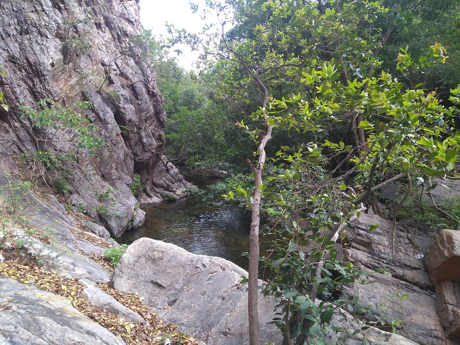 Nagalapuram Waterfalls