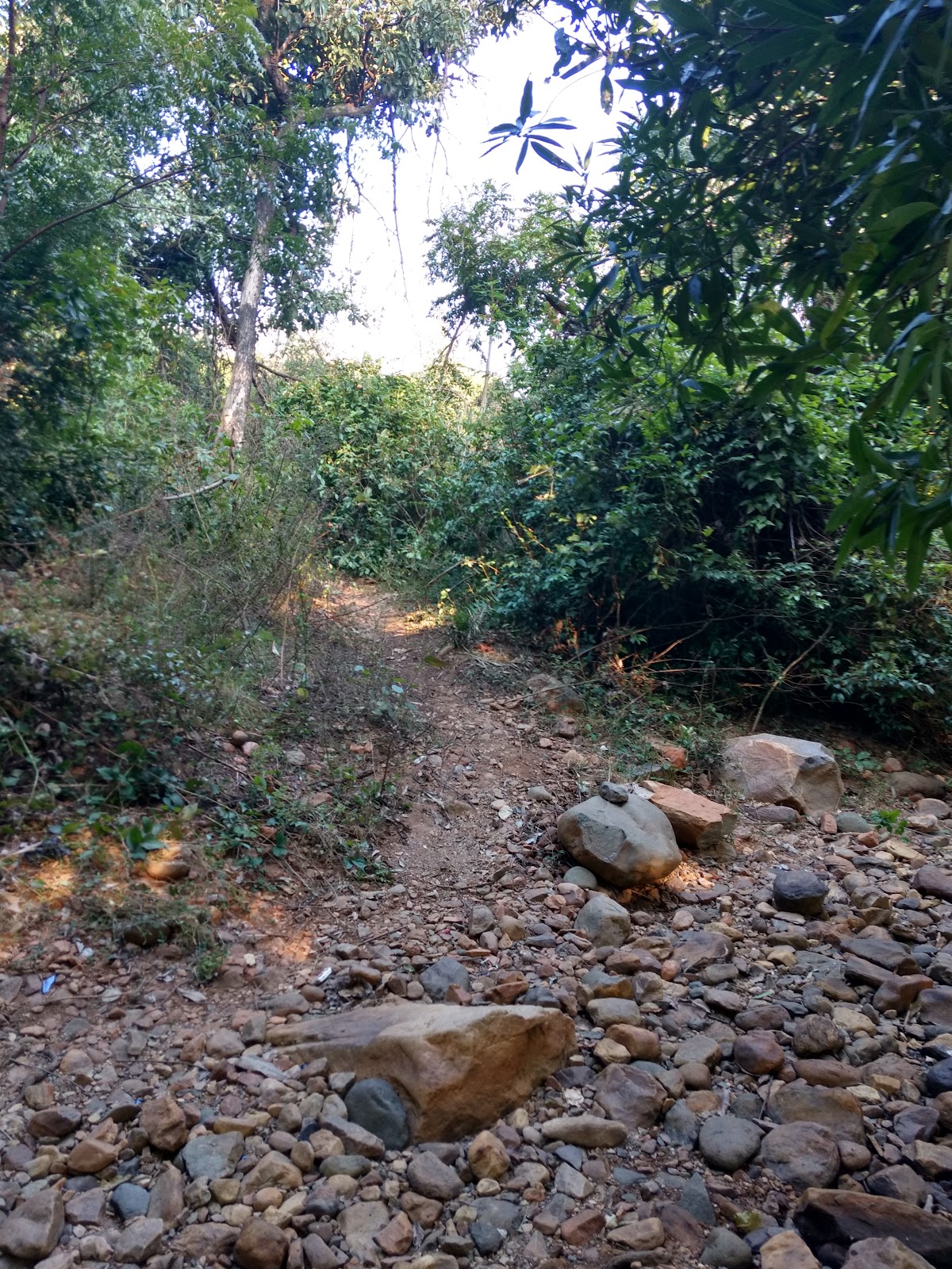 Nagalapuram Waterfalls