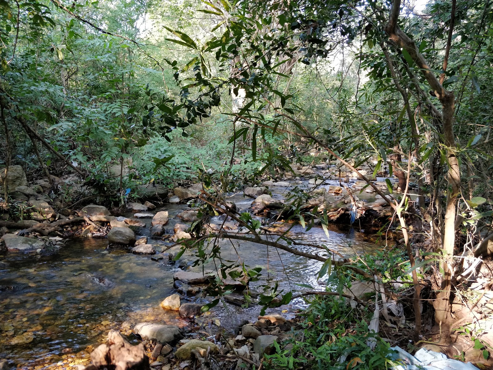 Nagalapuram Waterfalls