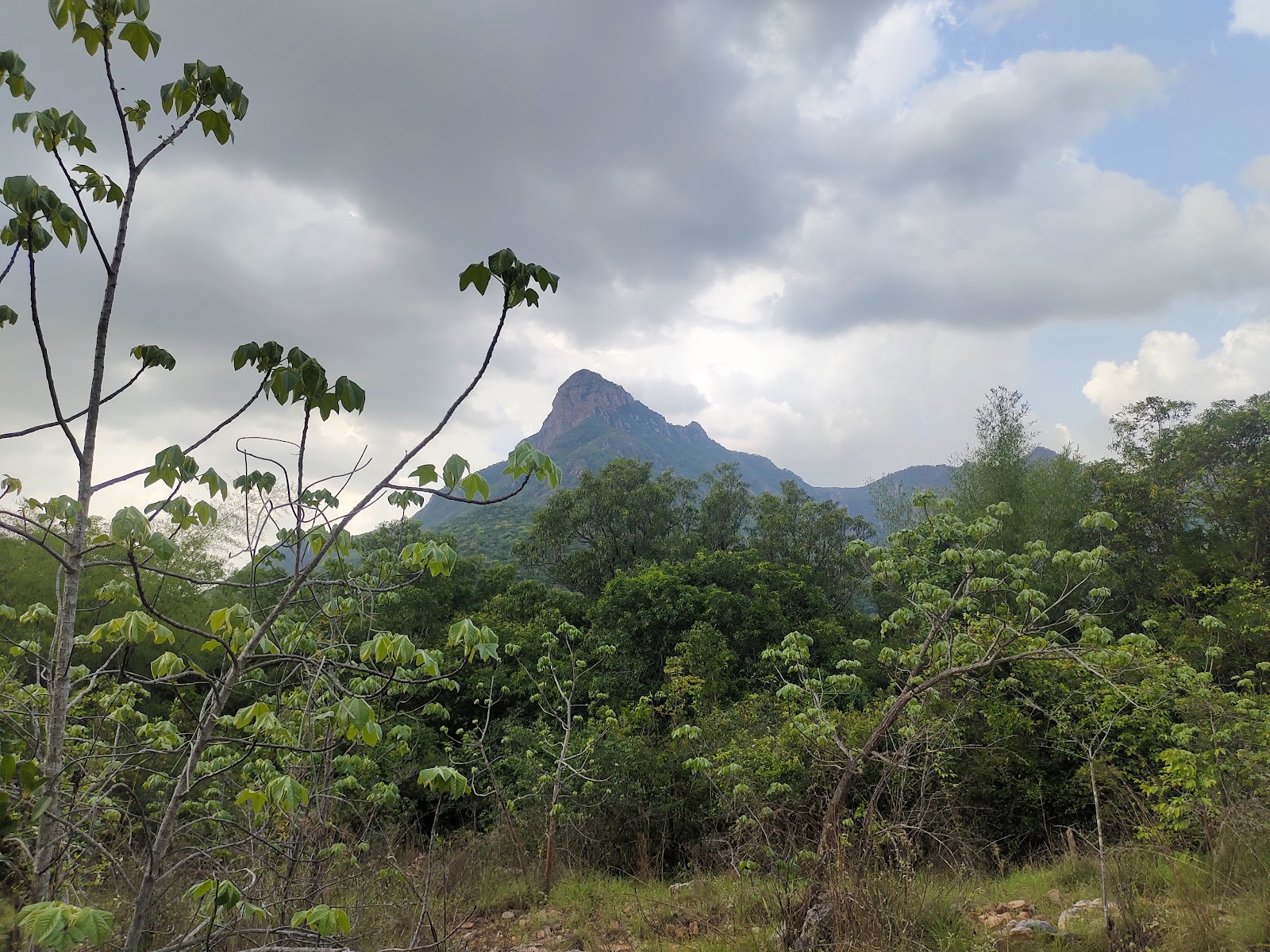 Nagalapuram Waterfalls