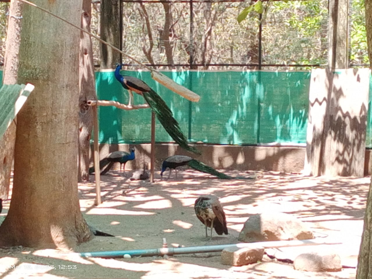 Amirthi Zoological Park