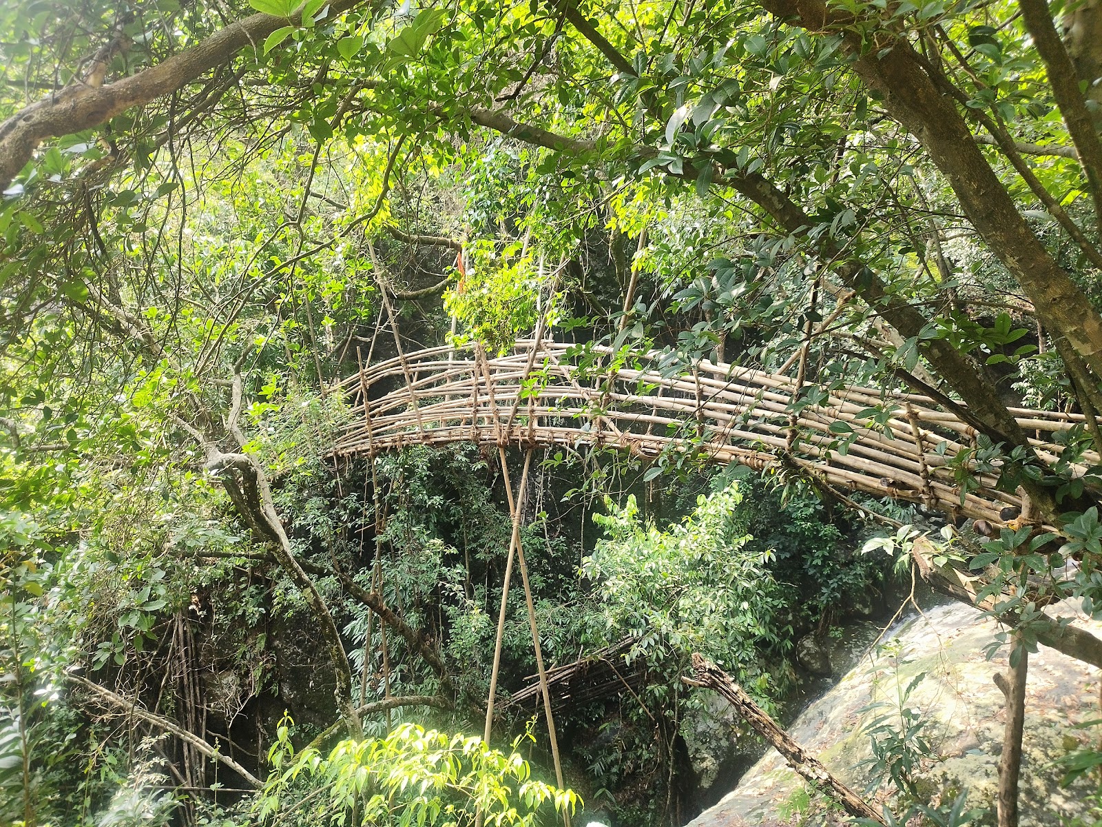 Bamboo Footbridge