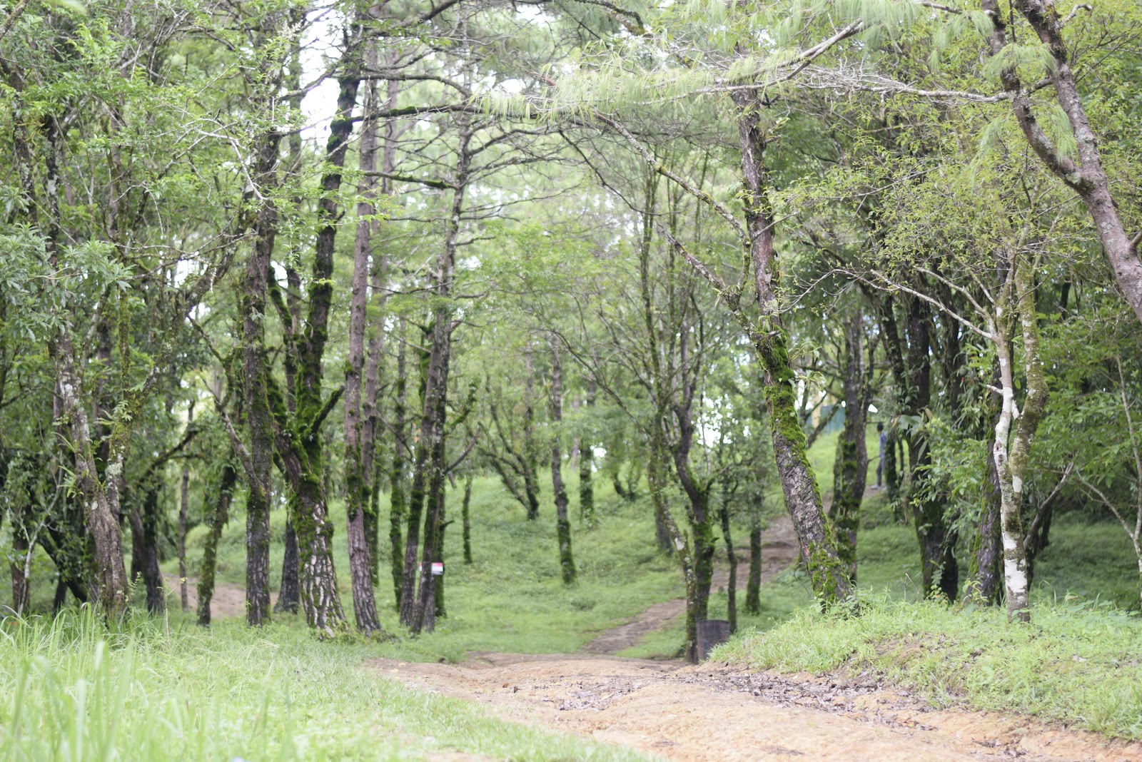 Tlabung, Mizoram - A Hidden Gem in India