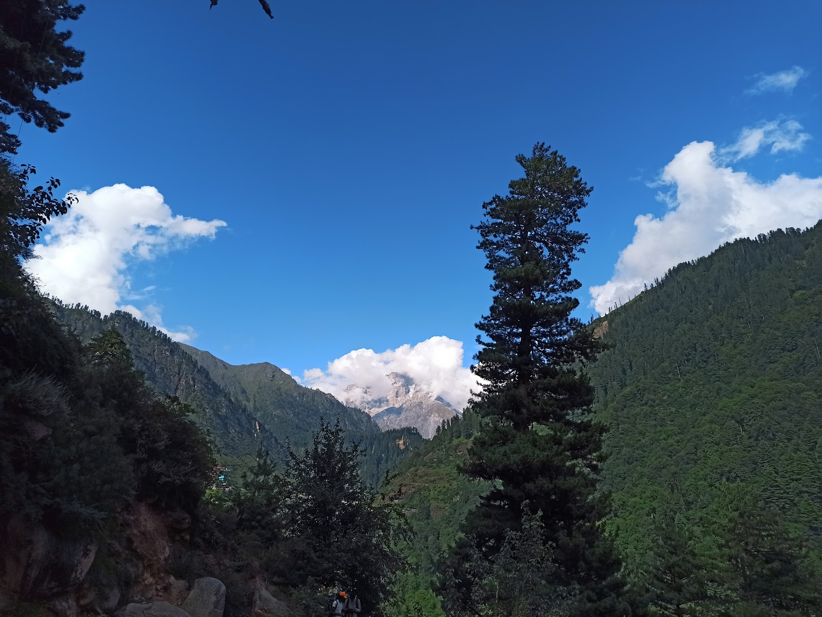 Tosh, Himachal Pradesh: A Hippie Village Guide - Trekking, Stays & Things to Do