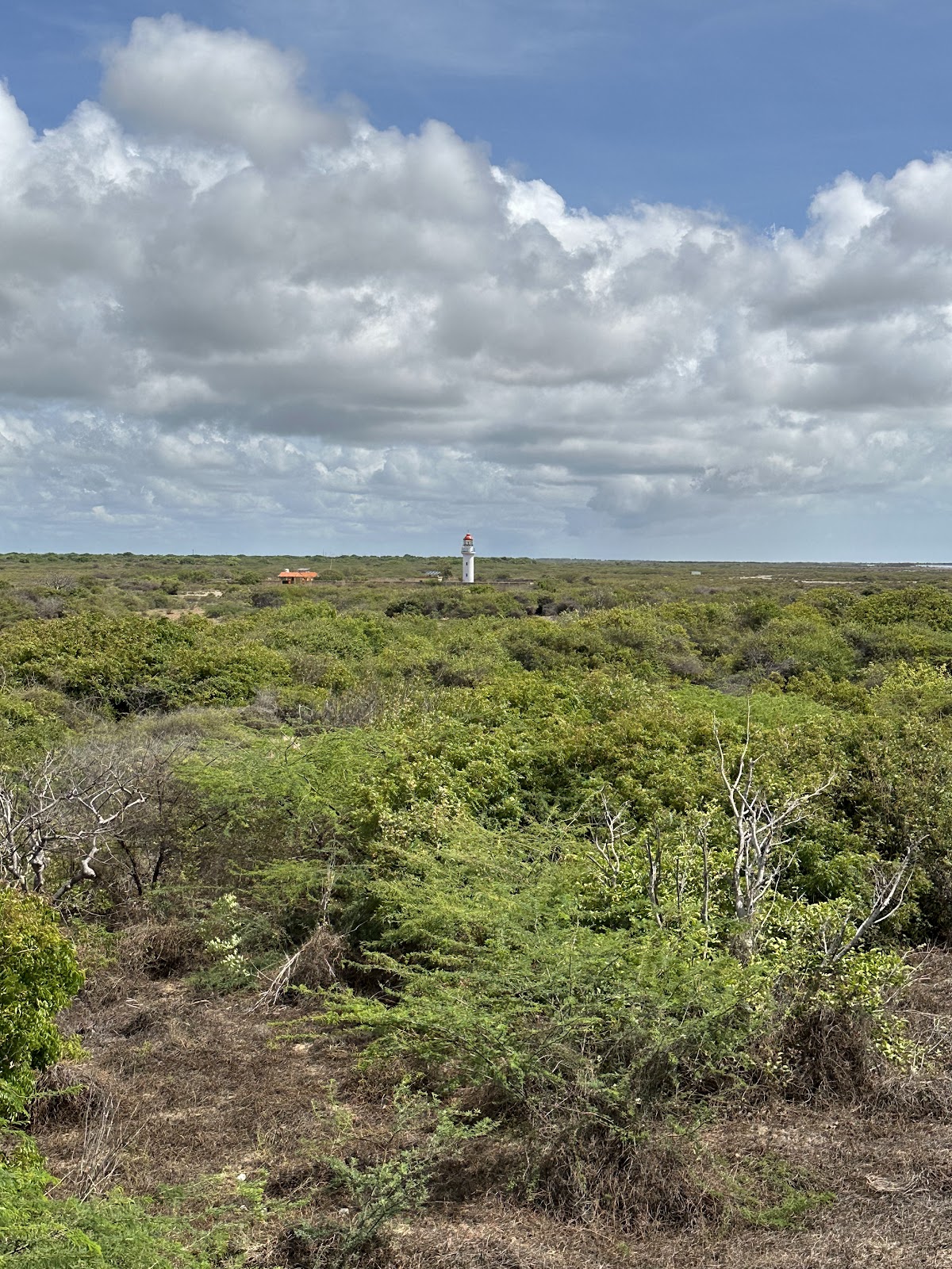 Nearby Nature Reserve