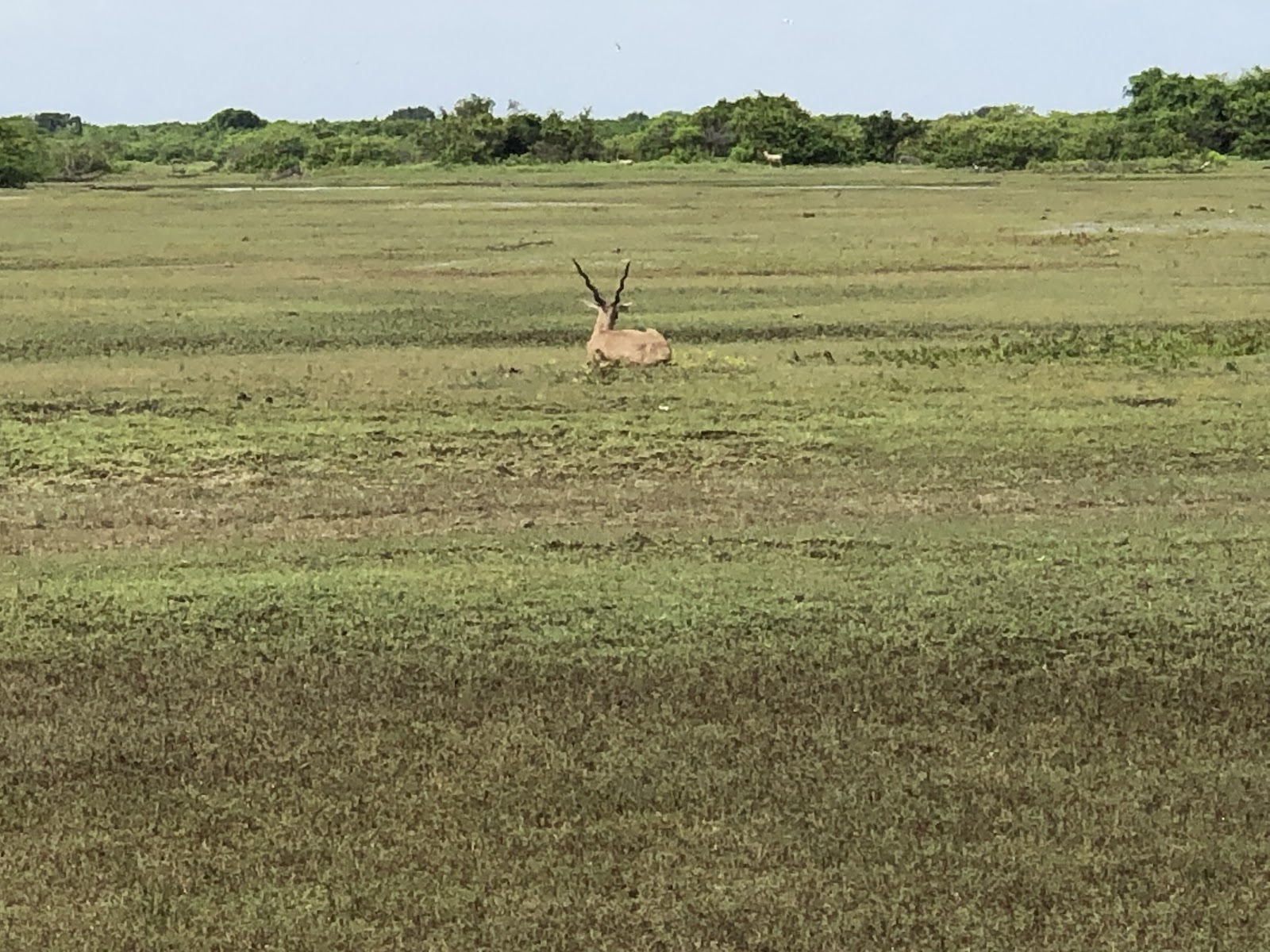 Nearby Nature Reserve