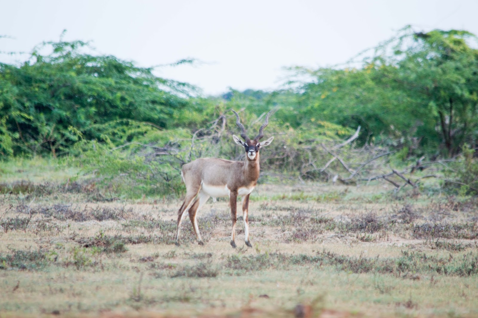 Nearby Nature Reserve