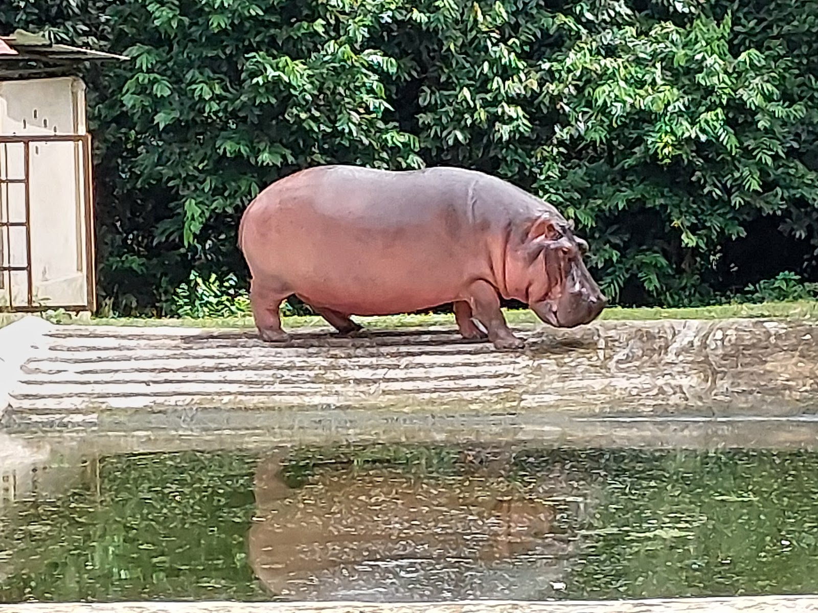 Sepahijala Wildlife Sanctuary