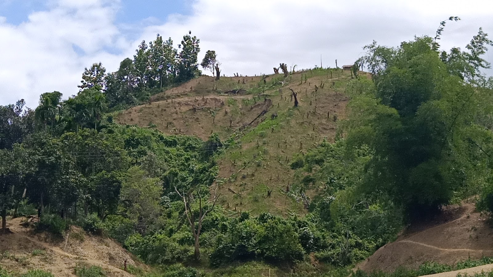 Gumti Wildlife Sanctuary