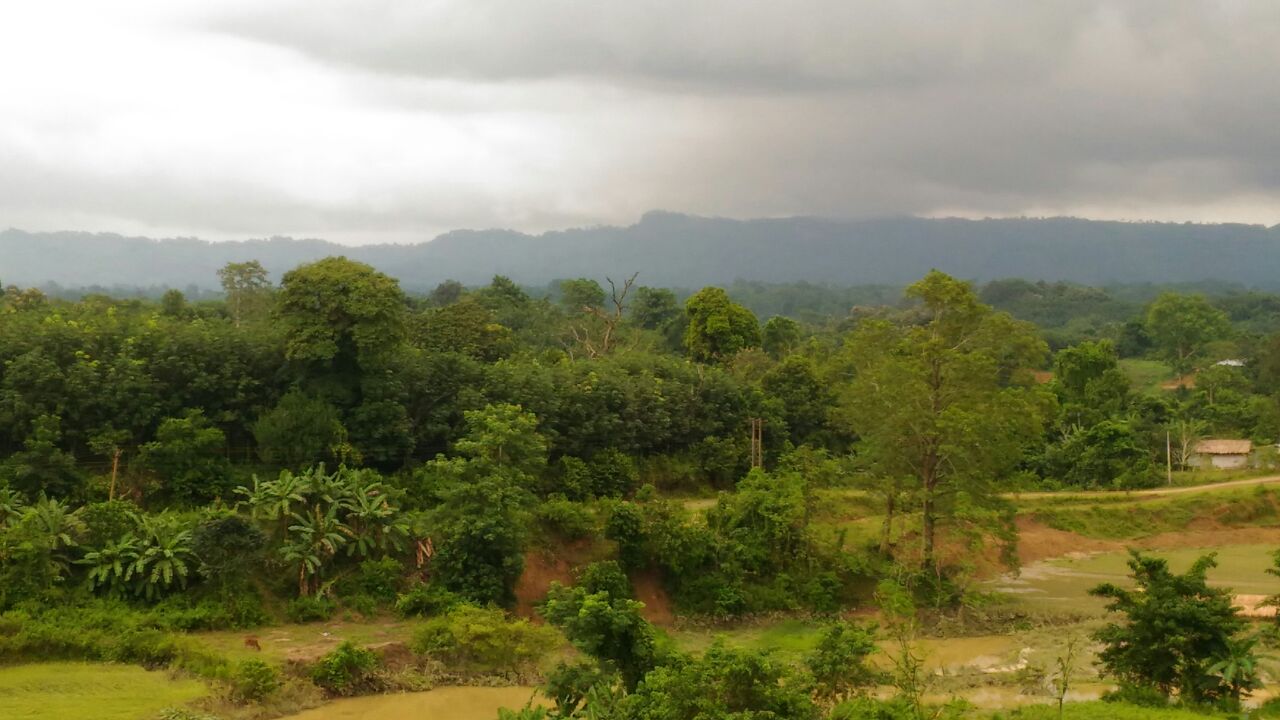 Gumti Wildlife Sanctuary