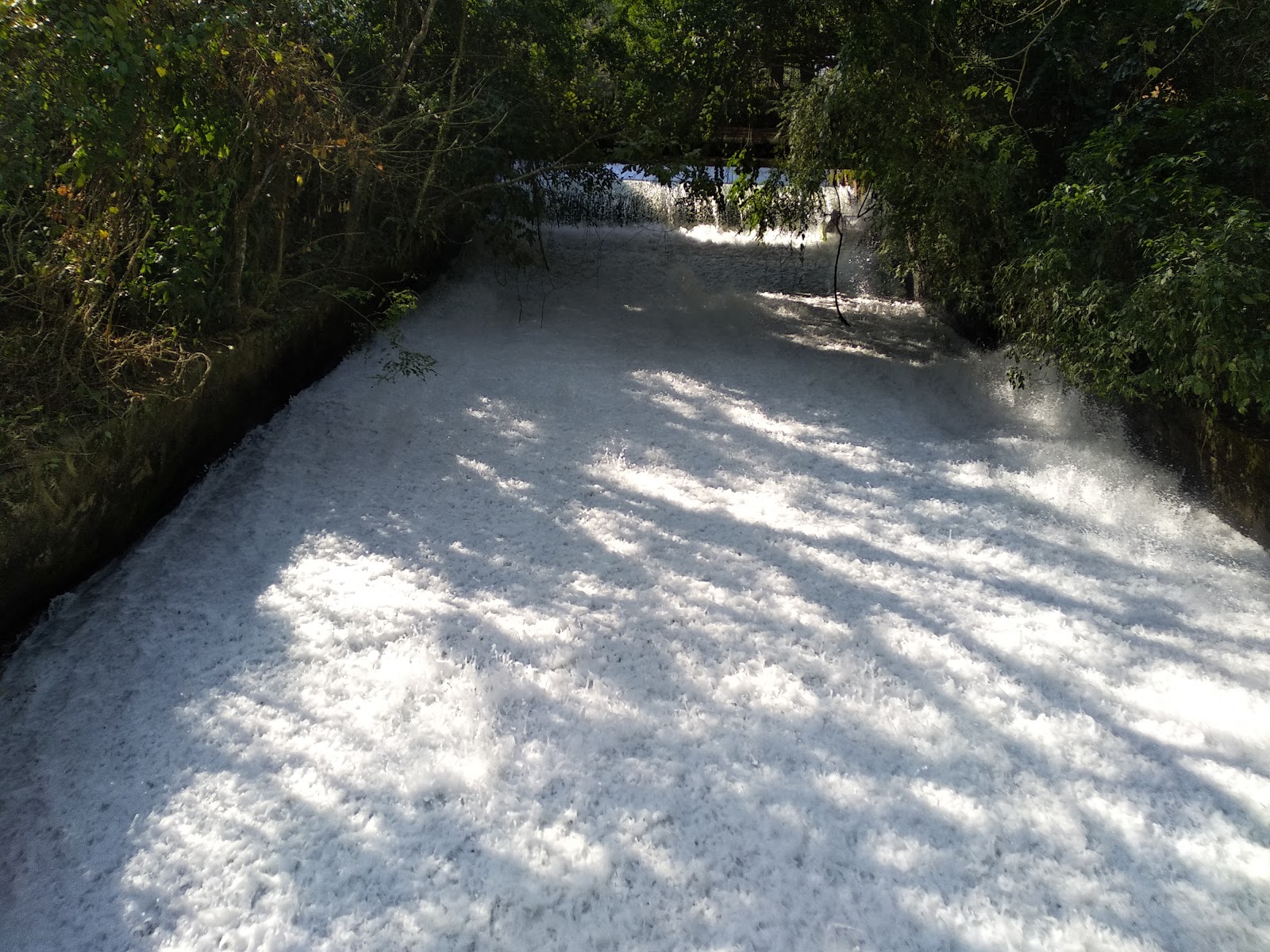 Gumti Wildlife Sanctuary