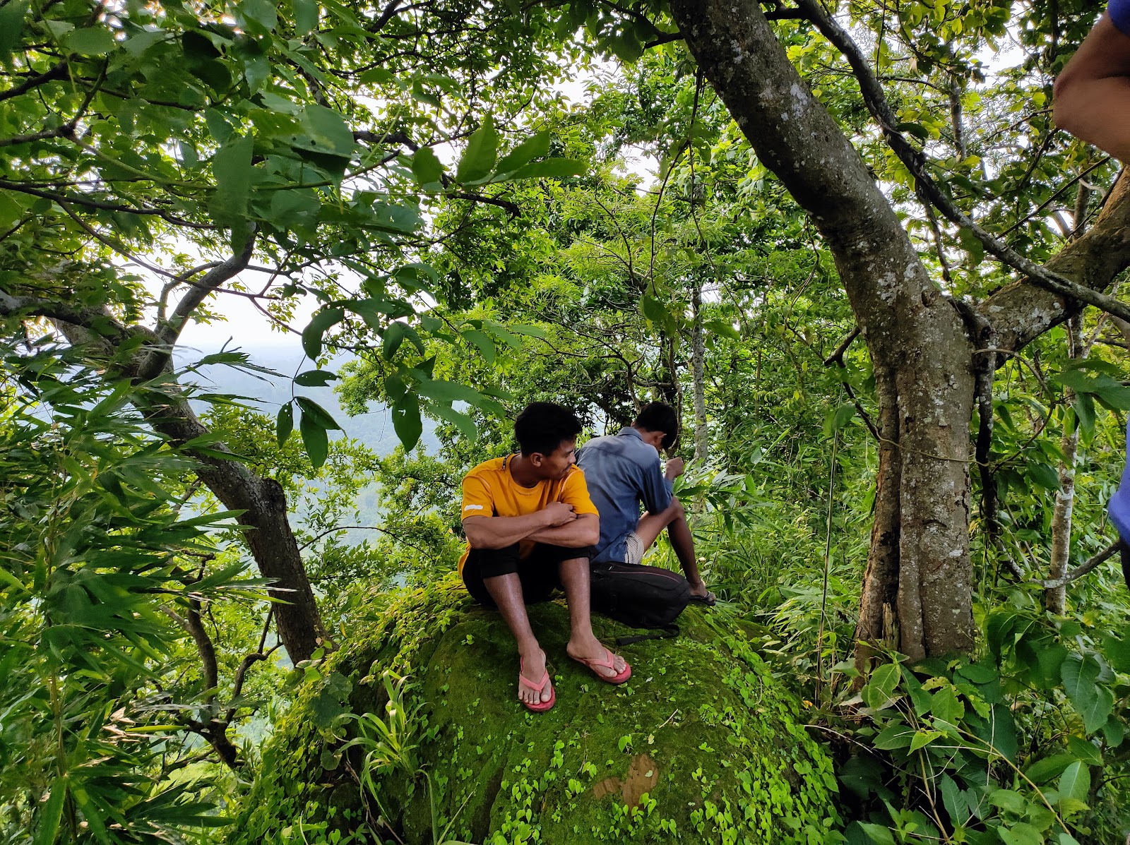 Gumti Wildlife Sanctuary