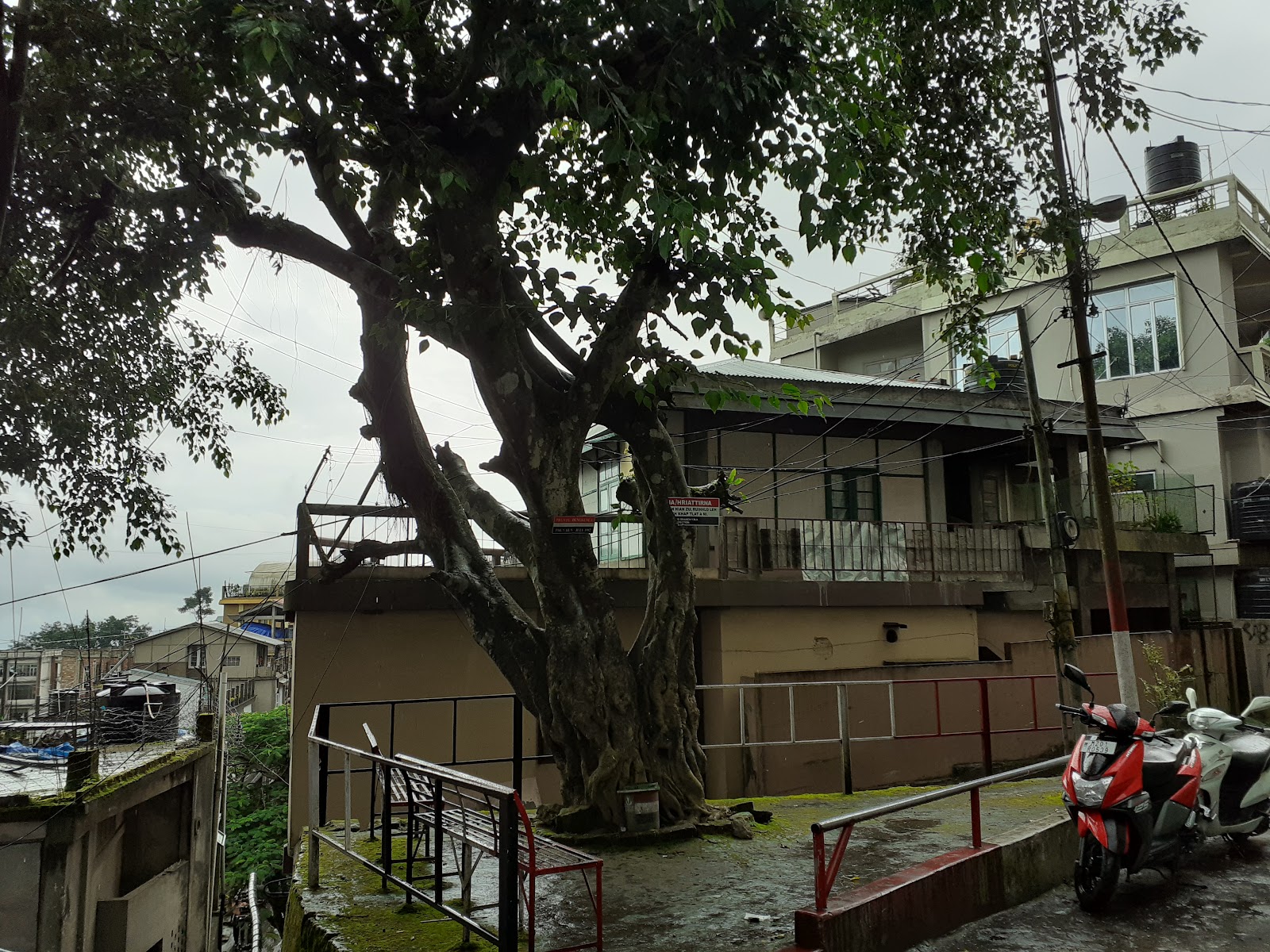 Chaltlang Ruam Veng Hmâwng