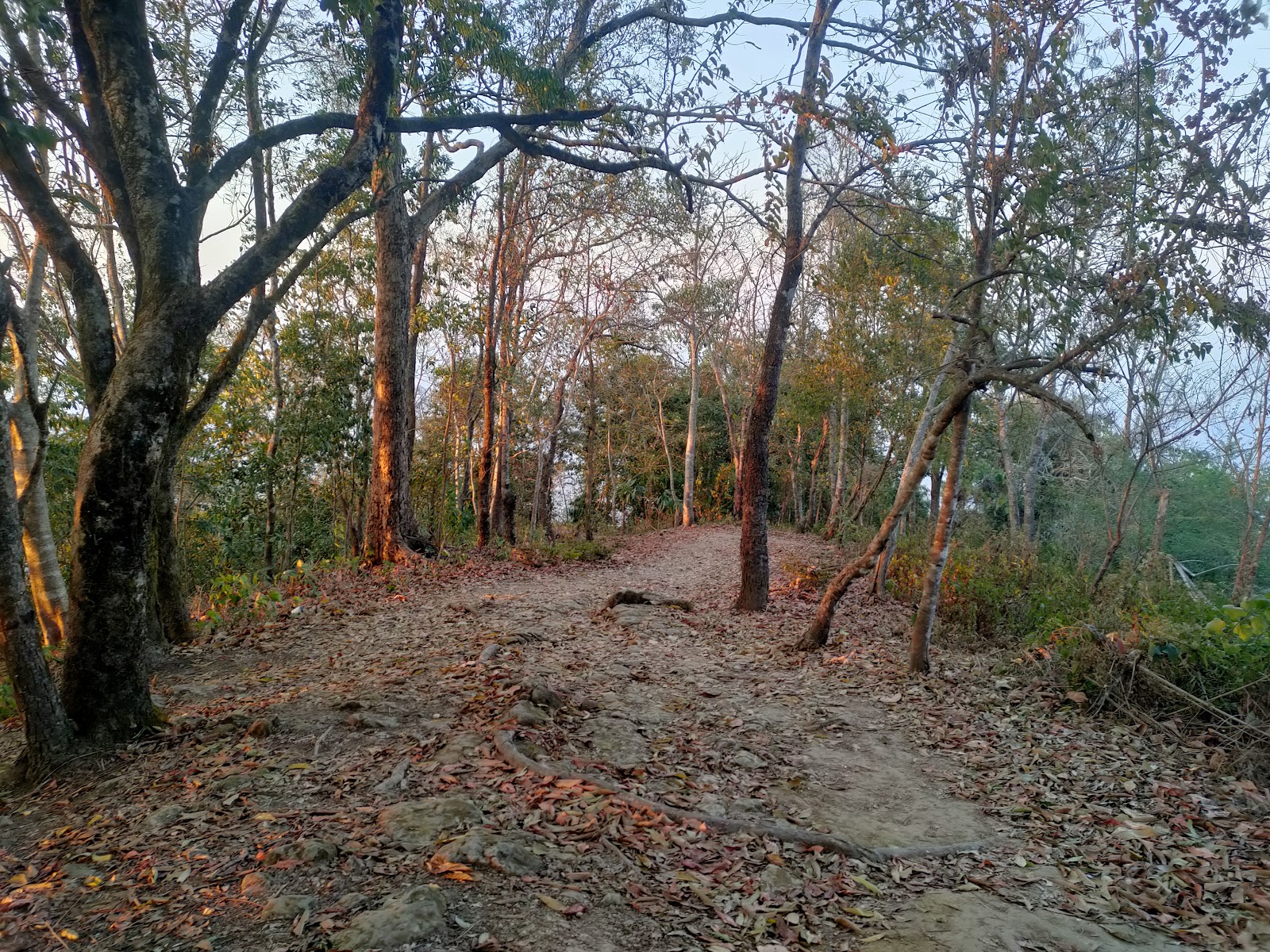 Old Village Heritage Site