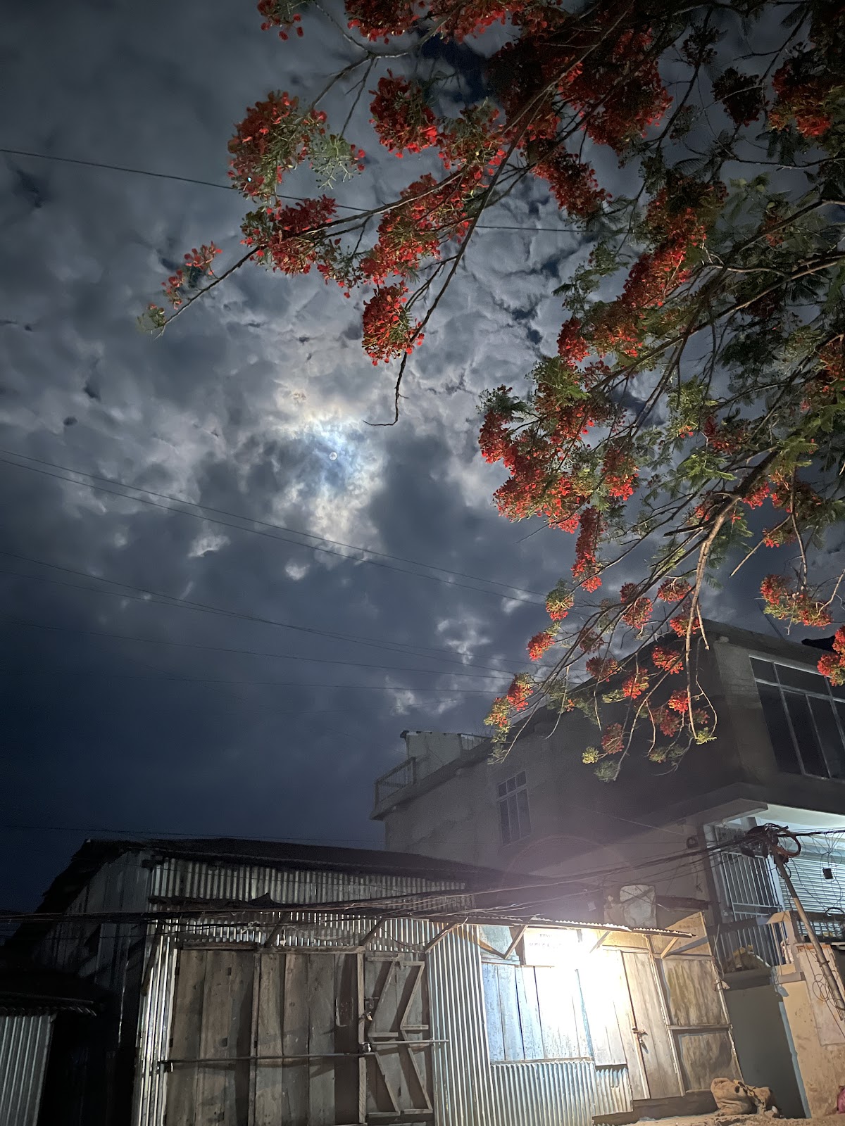 Tualvawng Local Market