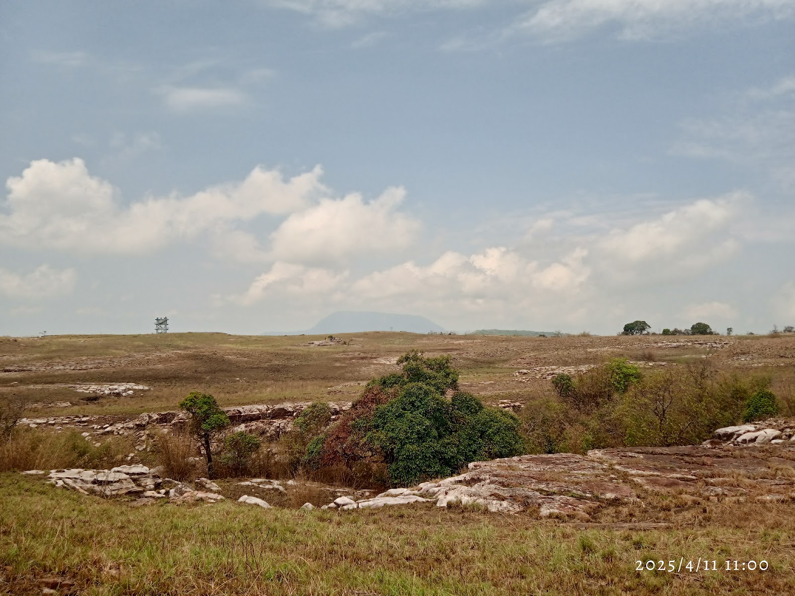 Balpakram National Park