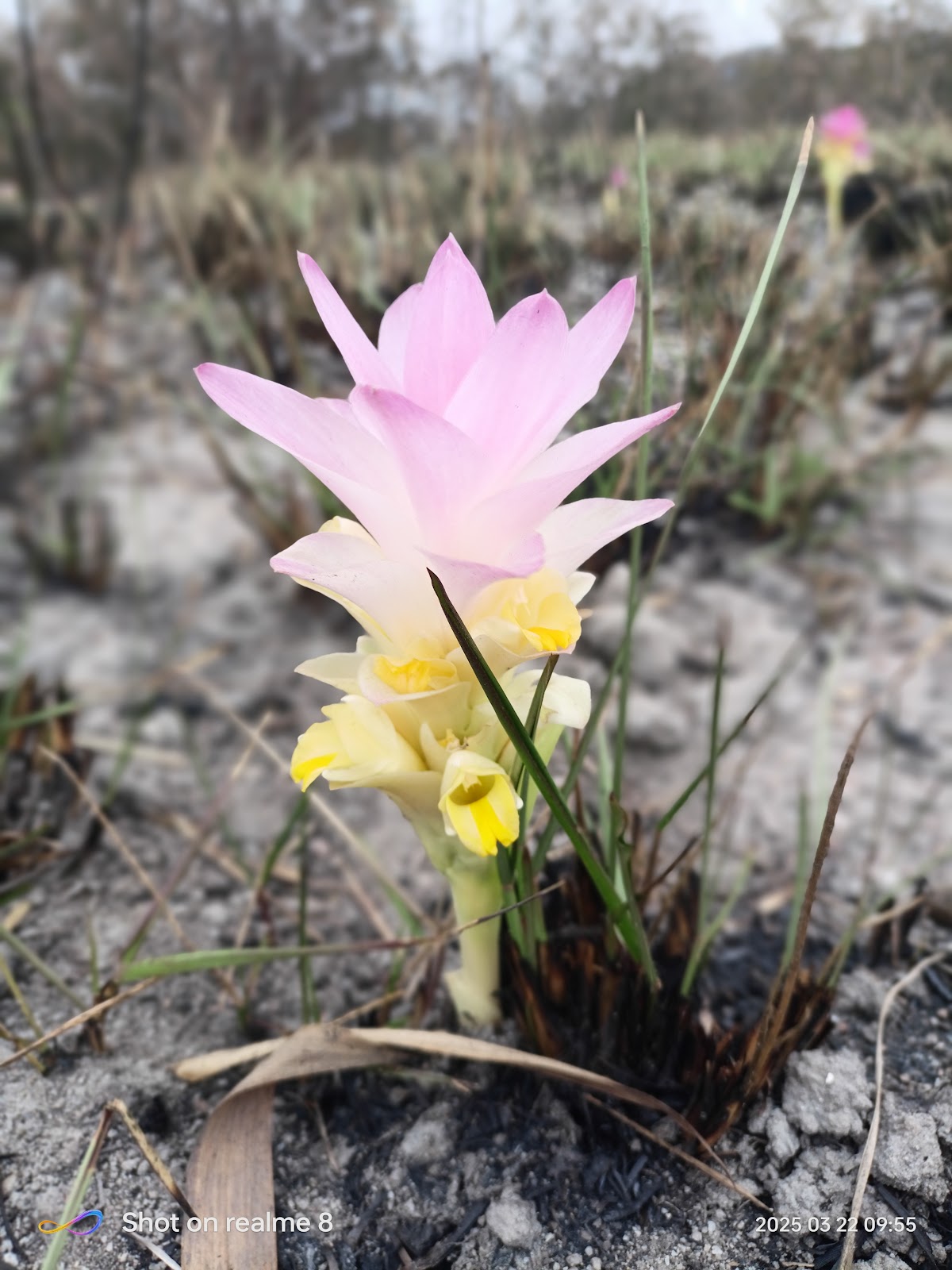 Balpakram National Park