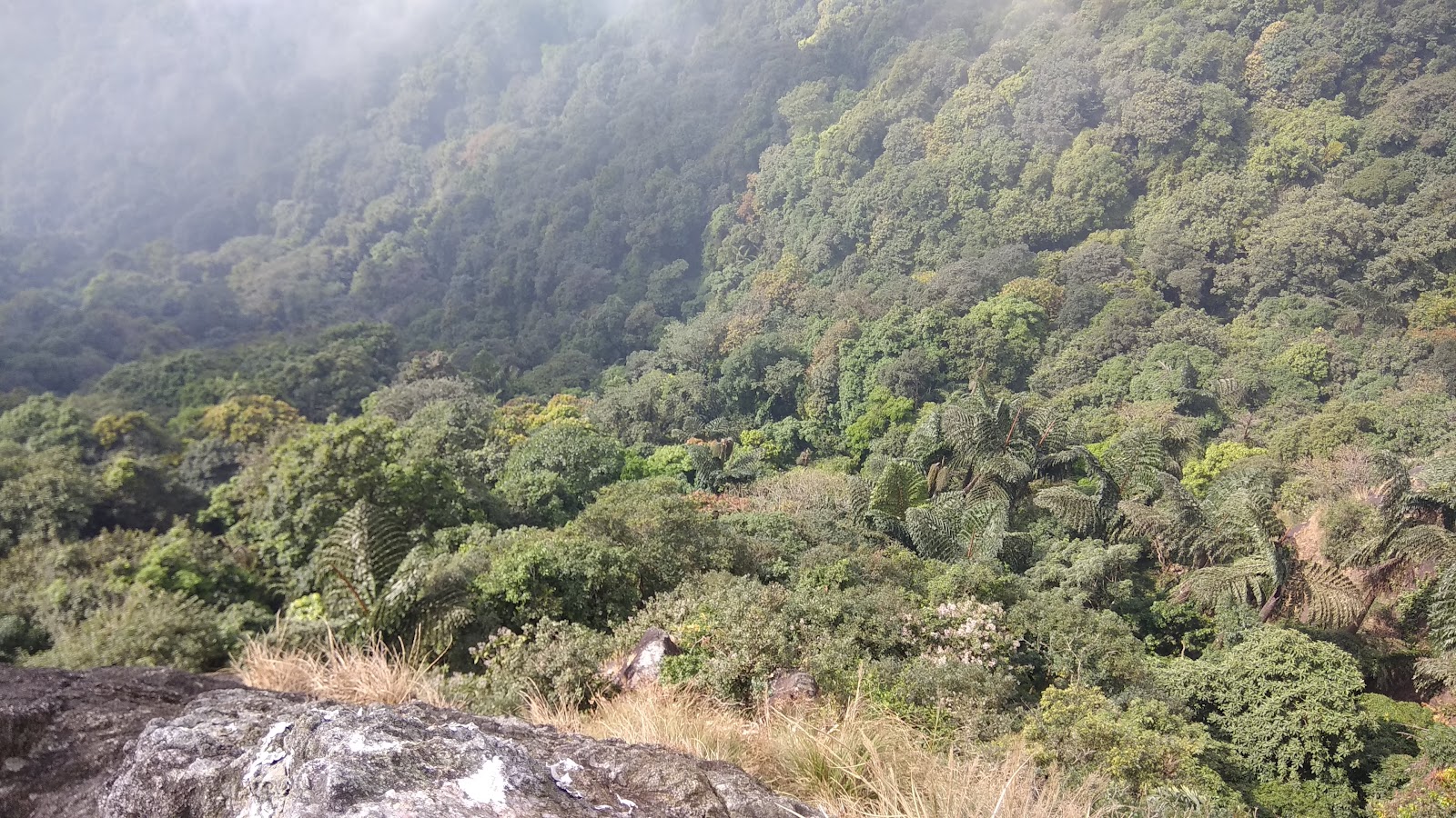 Nokrek National Park