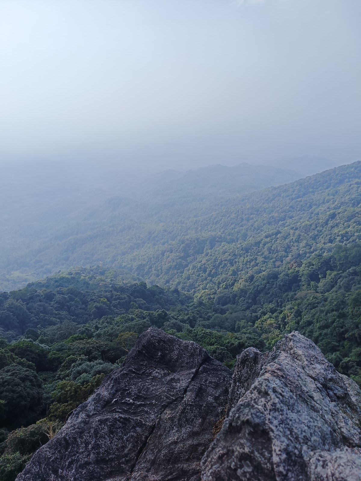Nokrek National Park