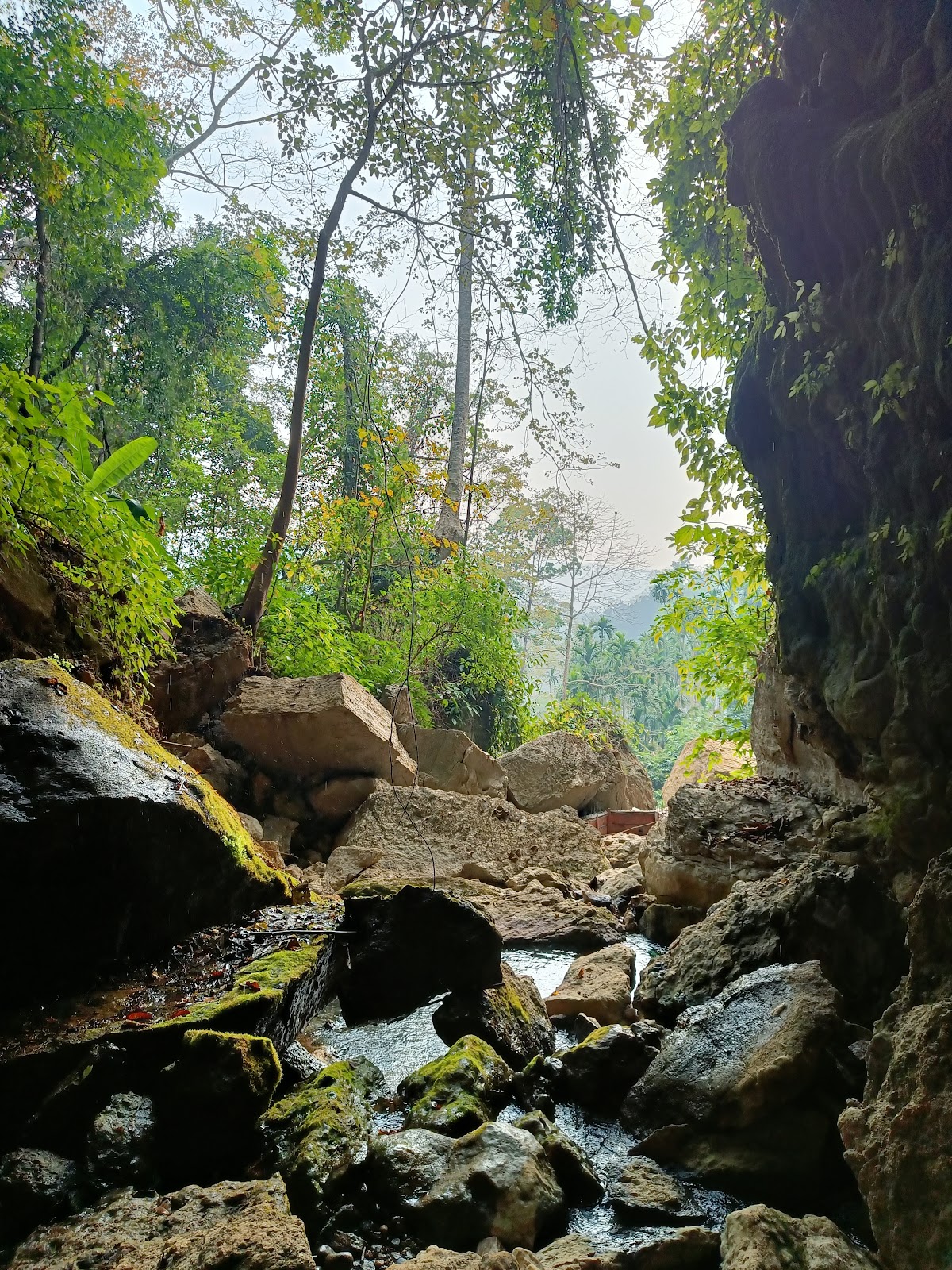 Siju Caves