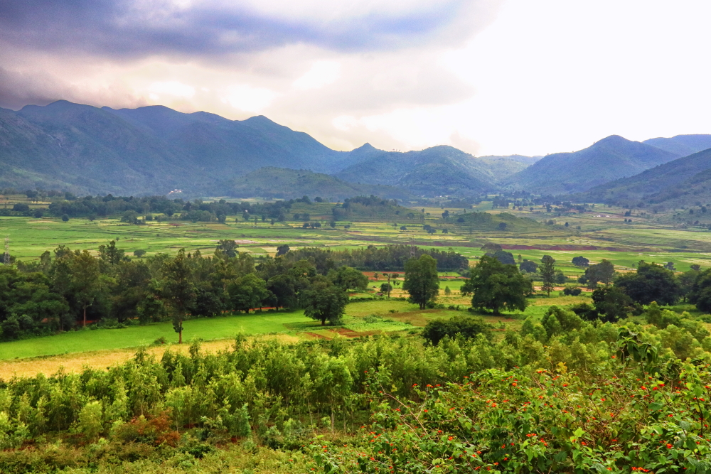 Araku Valley