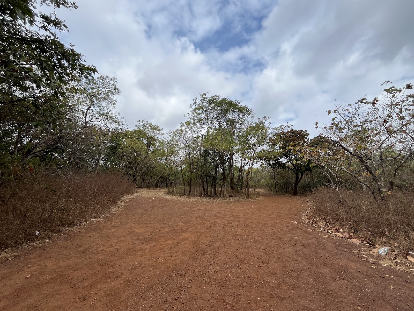 Ananthagiri Hills
