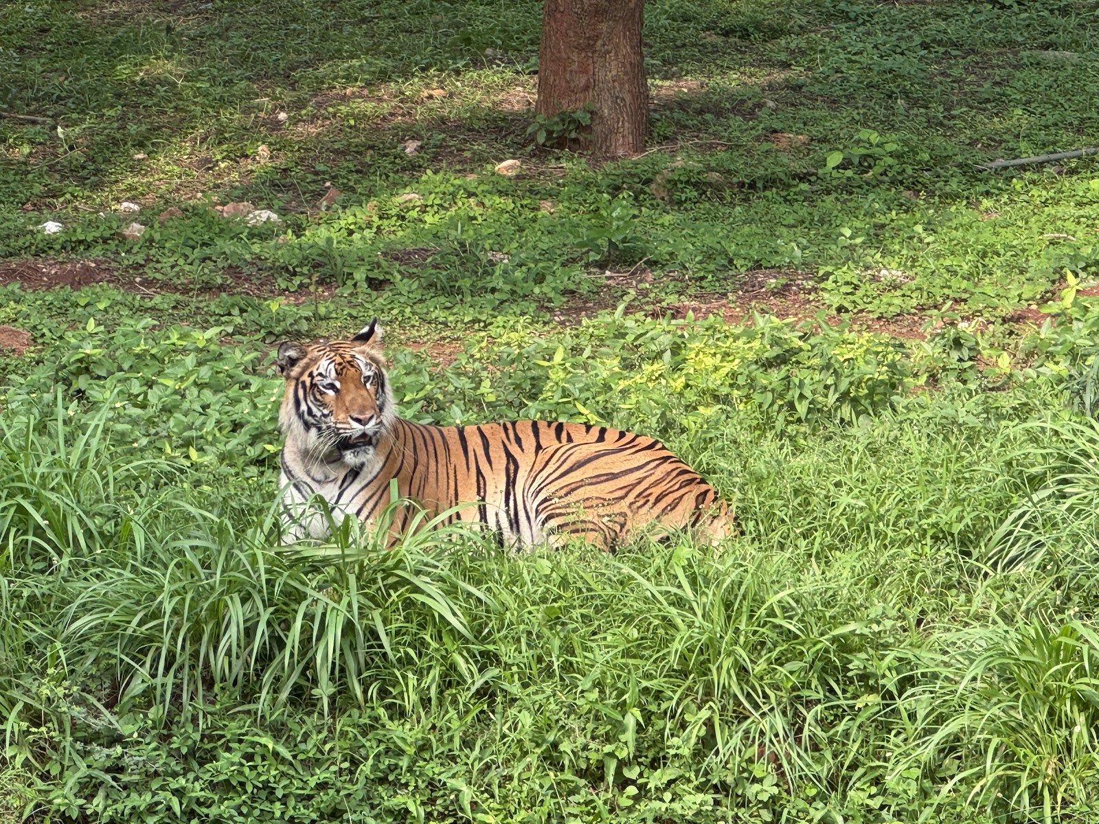 Kambalakonda Wildlife Sanctuary