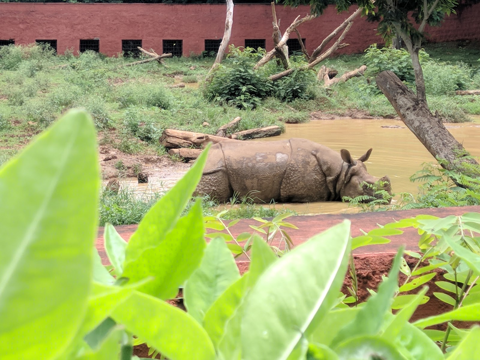 Kambalakonda Wildlife Sanctuary
